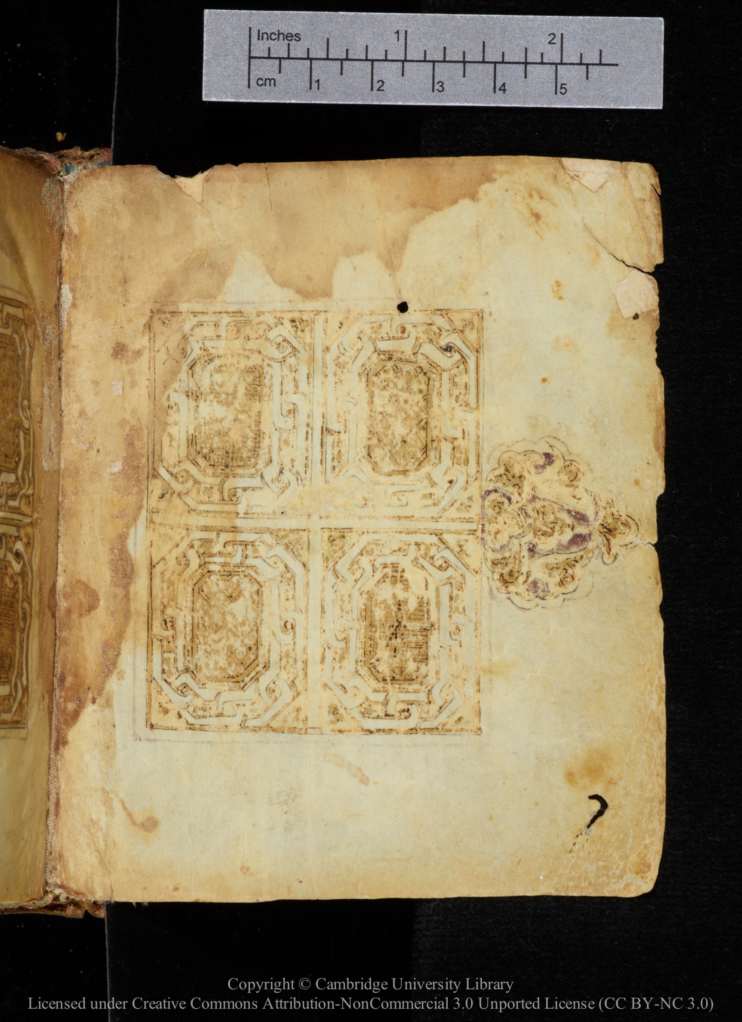 Cambridge, Cambridge University Library, MS Add.2964 (Scan 2), in New Style I script, showing Surah 18:75 from 10th to 11th Century AD found in Unknown, currently housed at Cambridge University Library, Cambridge