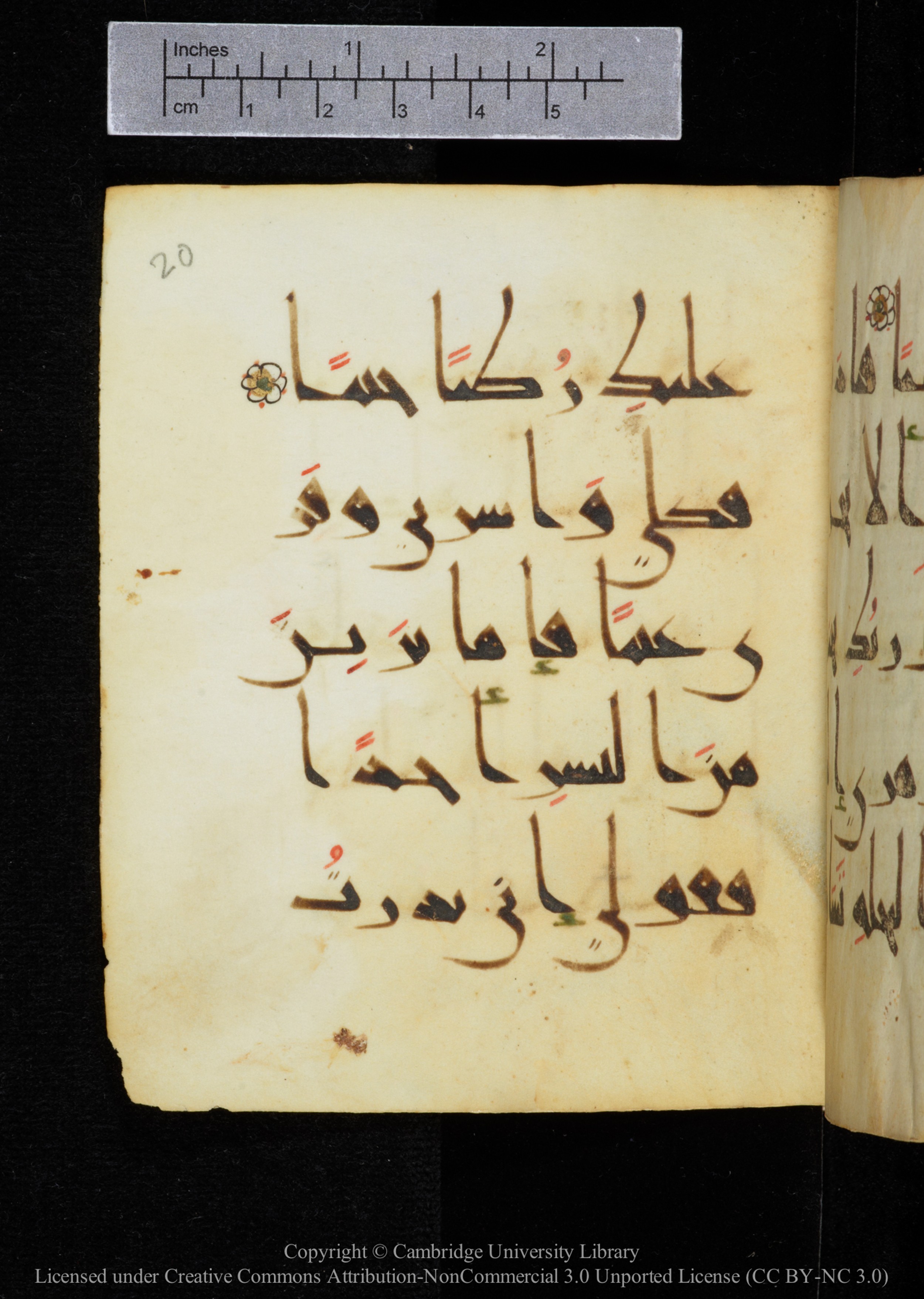 Cambridge, Cambridge University Library, MS Add.2964 (Scan 2), in New Style I script, showing Surah 19:25 from 10th to 11th Century AD found in Unknown, currently housed at Cambridge University Library, Cambridge