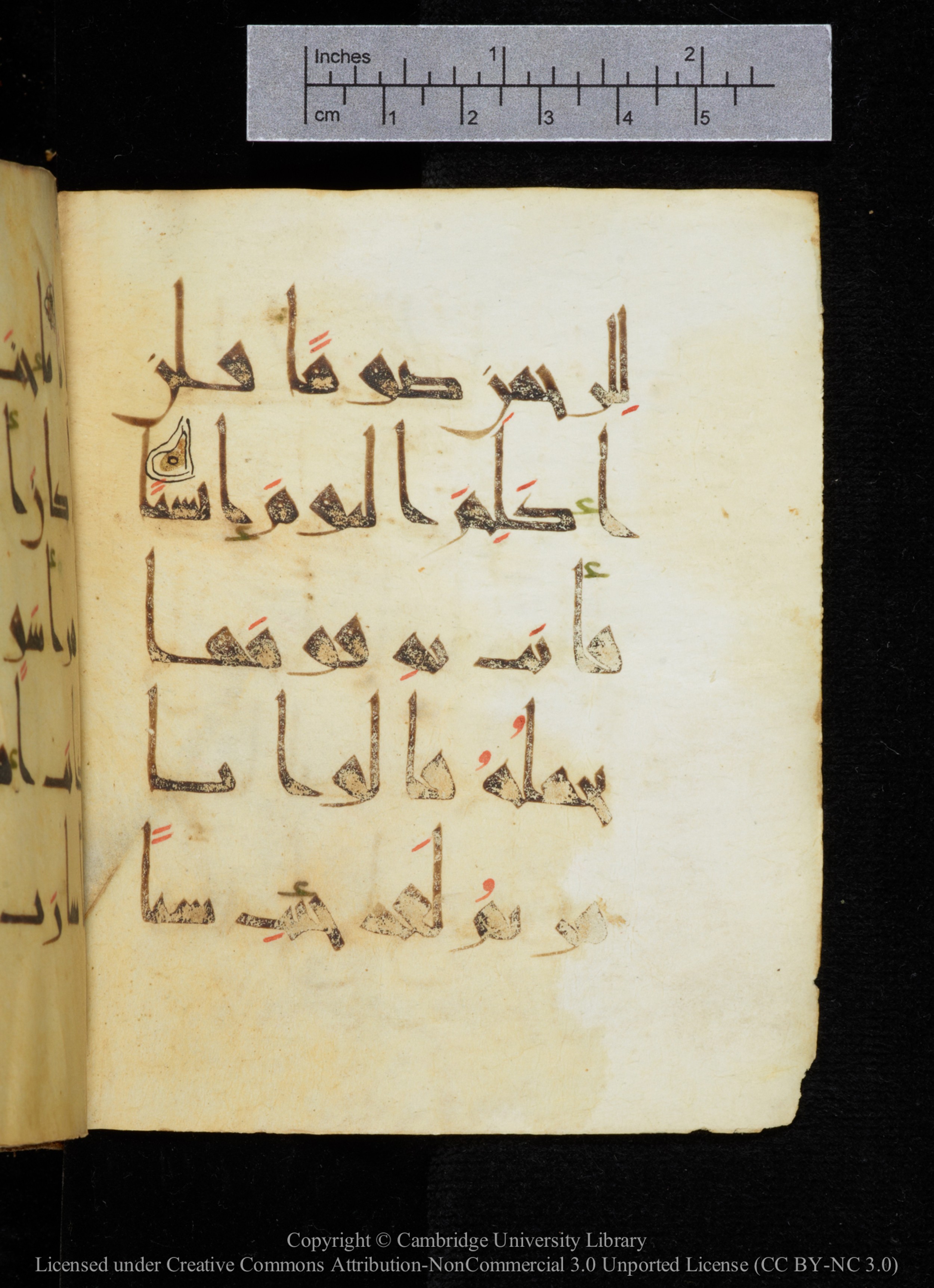 Cambridge, Cambridge University Library, MS Add.2964 (Scan 1), in New Style I script, showing Surah 19:27 from 10th to 11th Century AD found in Unknown, currently housed at Cambridge University Library, Cambridge