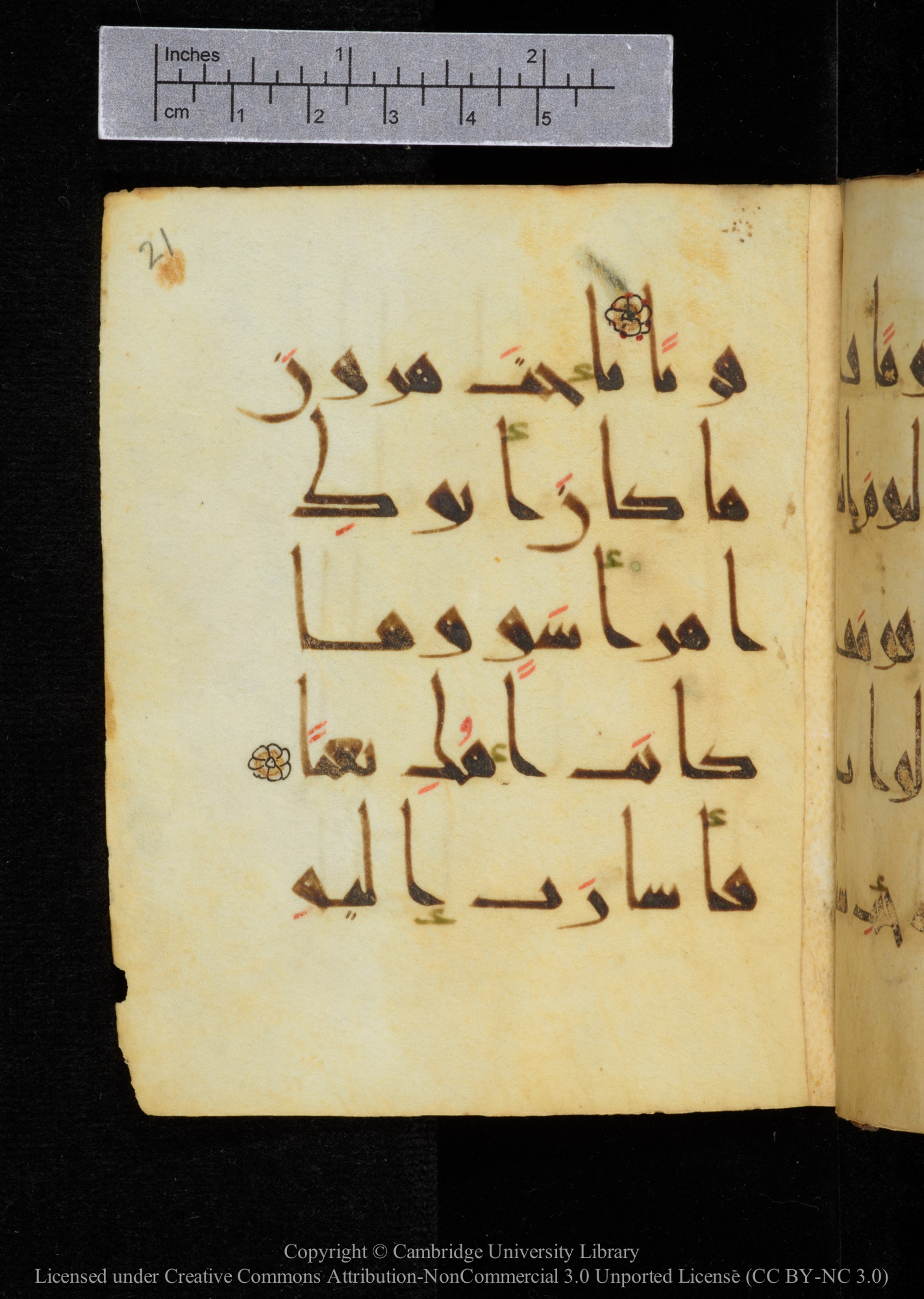 Cambridge, Cambridge University Library, MS Add.2964 (Scan 1), in New Style I script, showing Surah 19:29 from 10th to 11th Century AD found in Unknown, currently housed at Cambridge University Library, Cambridge
