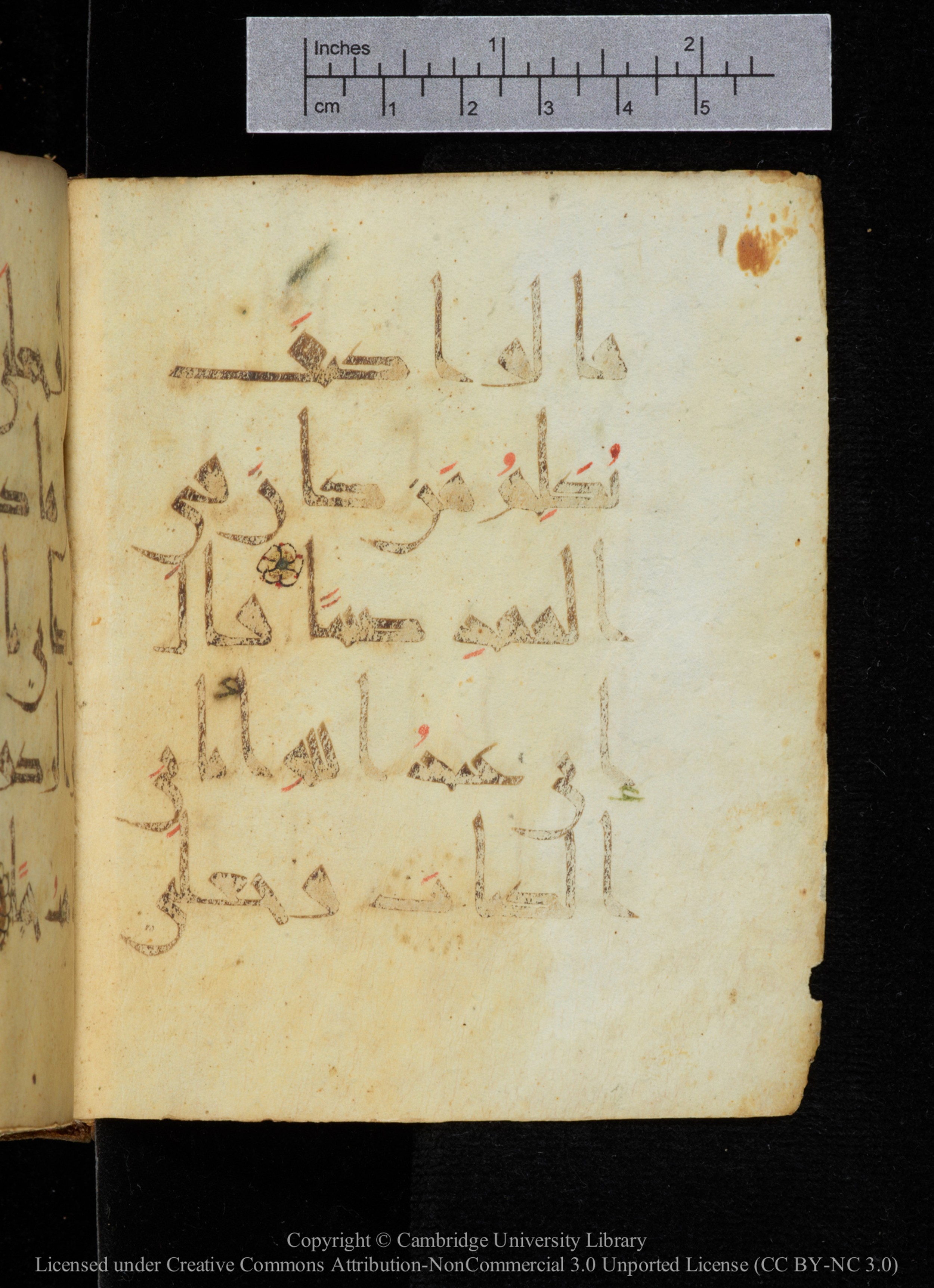 Cambridge, Cambridge University Library, MS Add.2964 (Scan 2), in New Style I script, showing Surah 19:29 from 10th to 11th Century AD found in Unknown, currently housed at Cambridge University Library, Cambridge