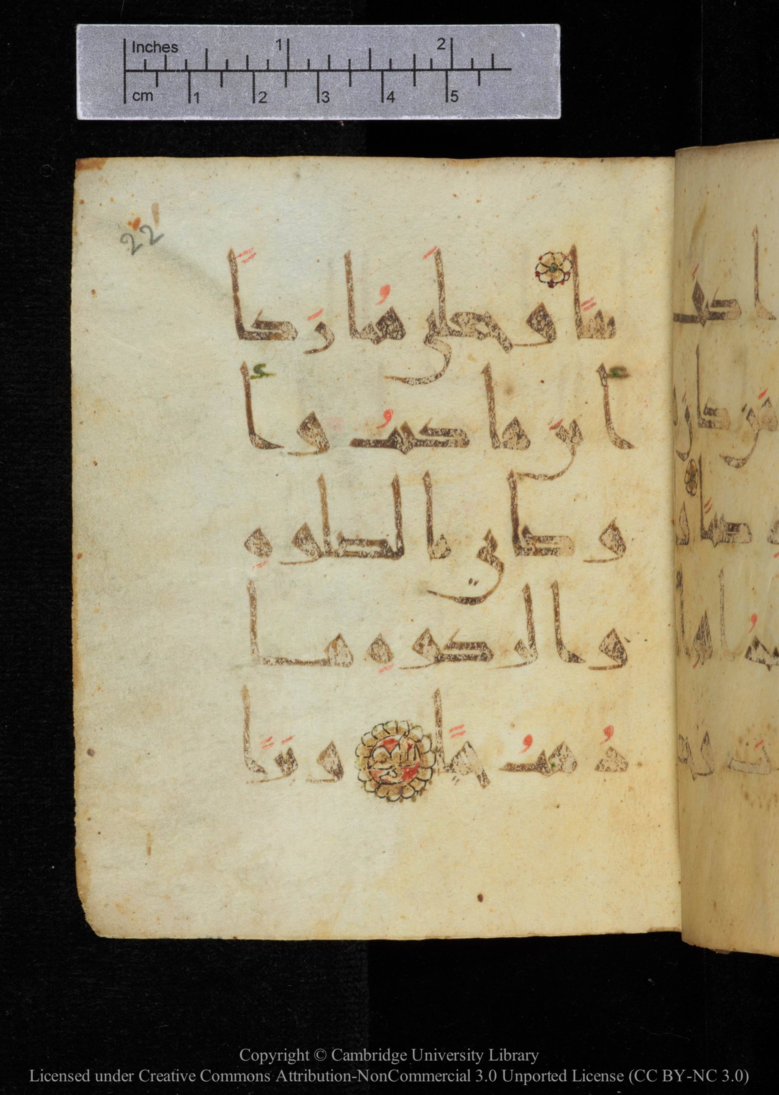 Cambridge, Cambridge University Library, MS Add.2964 (Scan 1), in New Style I script, showing Surah 19:32 from 10th to 11th Century AD found in Unknown, currently housed at Cambridge University Library, Cambridge