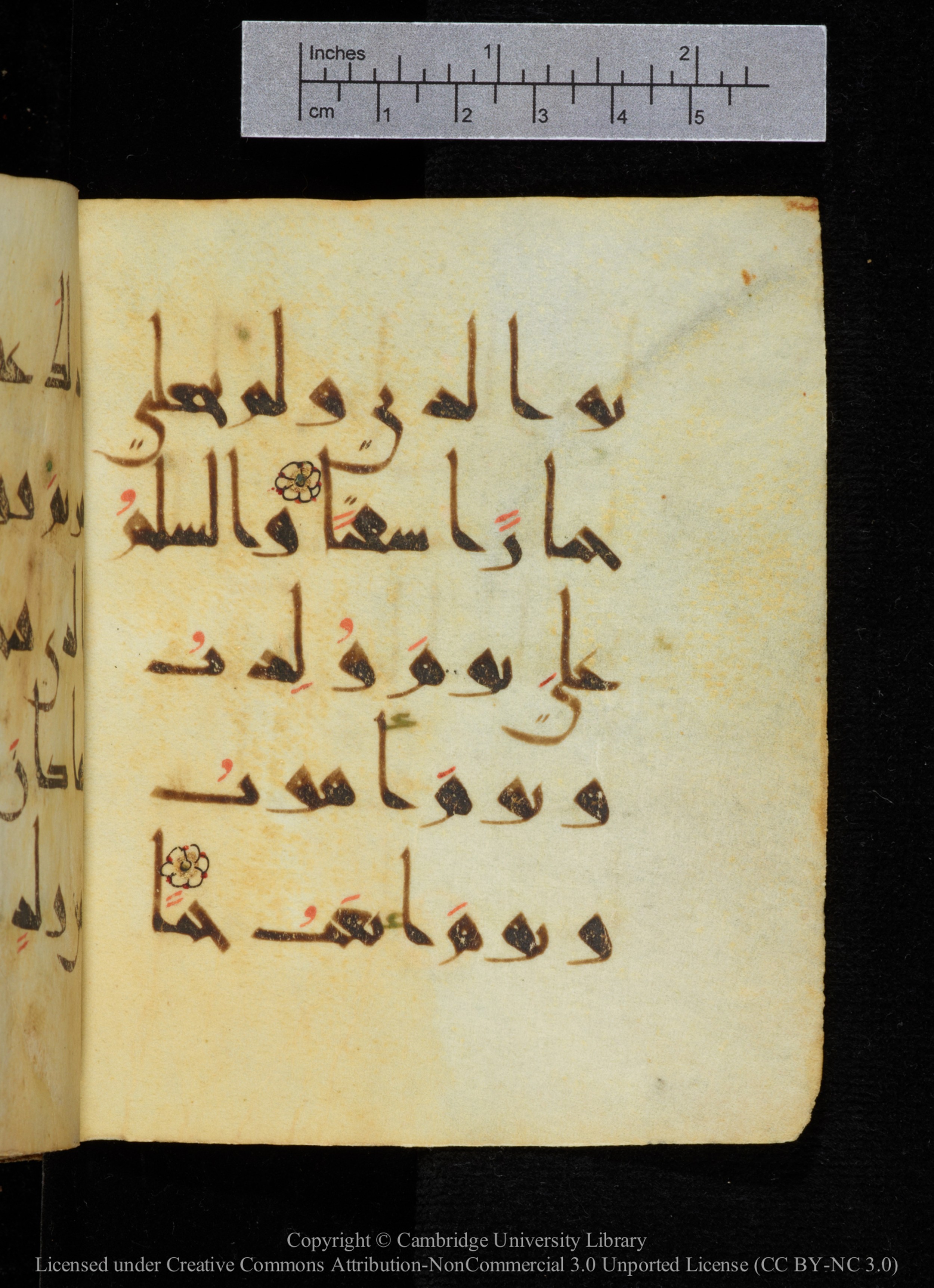 Cambridge, Cambridge University Library, MS Add.2964 (Scan 2), in New Style I script, showing Surah 19:32 from 10th to 11th Century AD found in Unknown, currently housed at Cambridge University Library, Cambridge