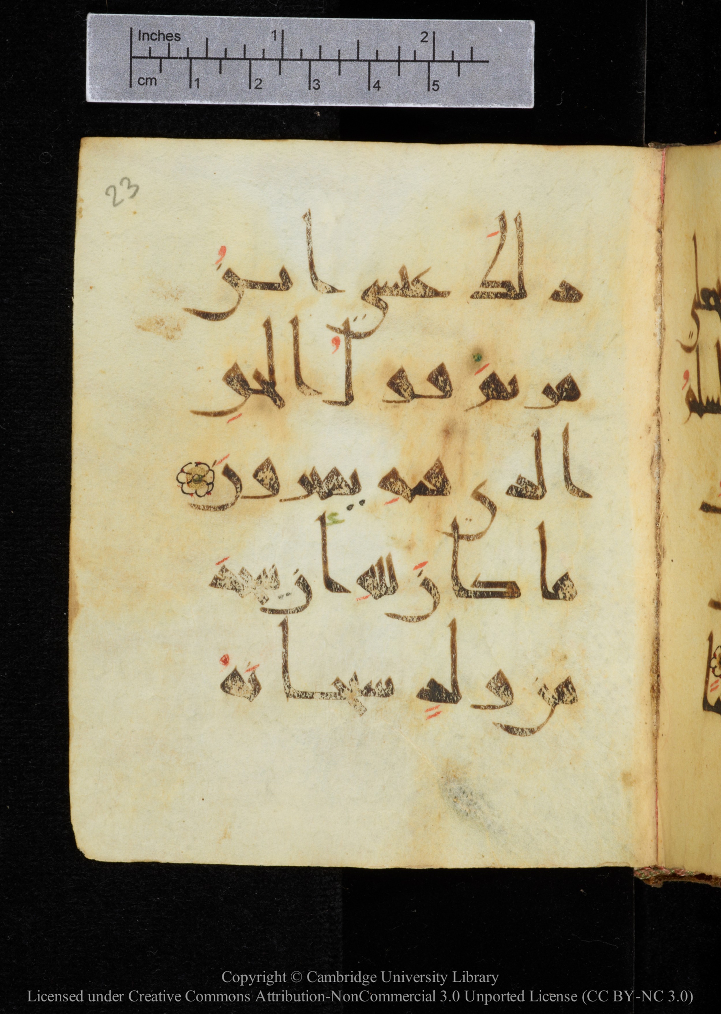 Cambridge, Cambridge University Library, MS Add.2964 (Scan 1), in New Style I script, showing Surah 19:35 from 10th to 11th Century AD found in Unknown, currently housed at Cambridge University Library, Cambridge