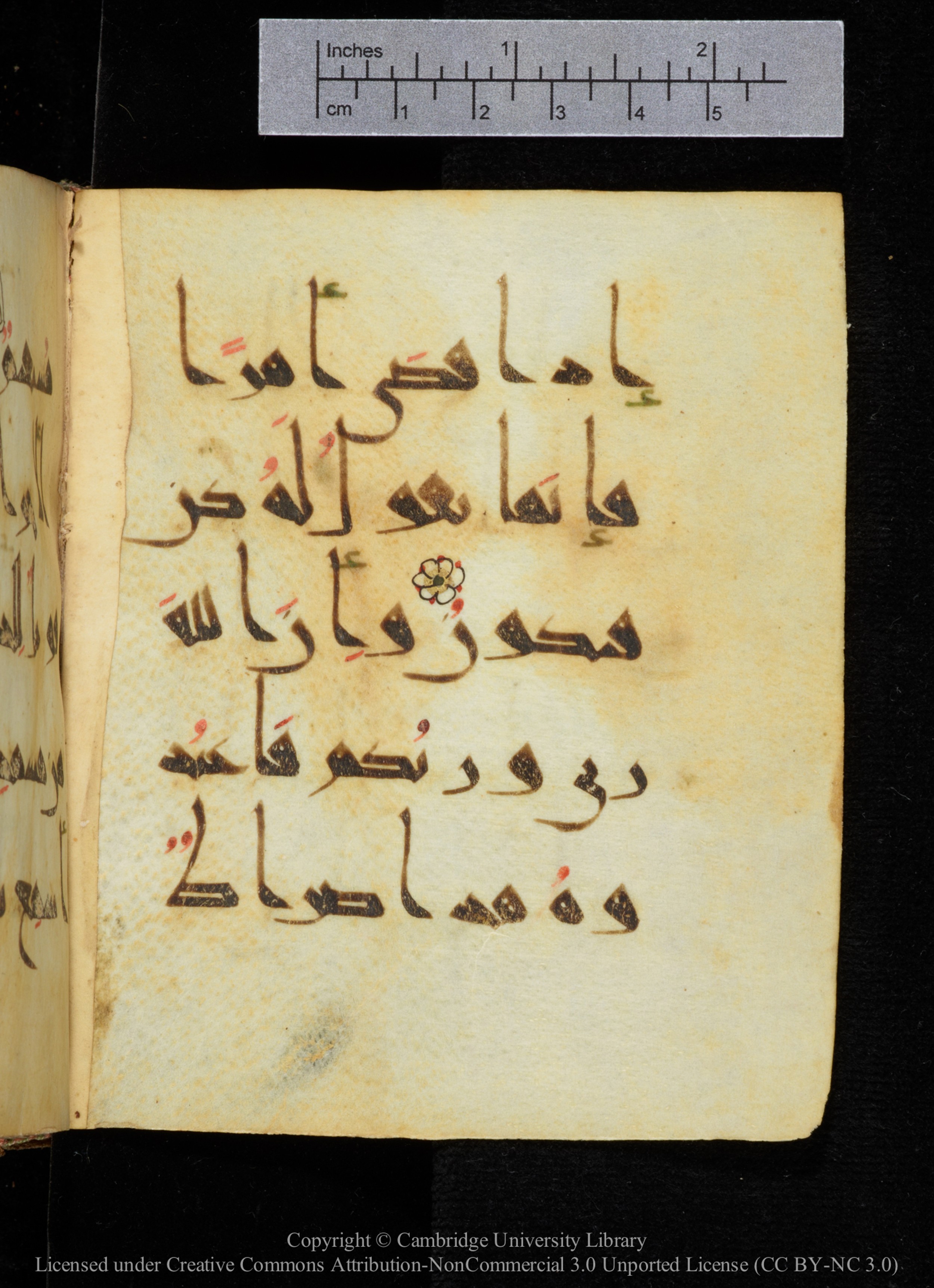 Cambridge, Cambridge University Library, MS Add.2964 (Scan 2), in New Style I script, showing Surah 19:35 from 10th to 11th Century AD found in Unknown, currently housed at Cambridge University Library, Cambridge
