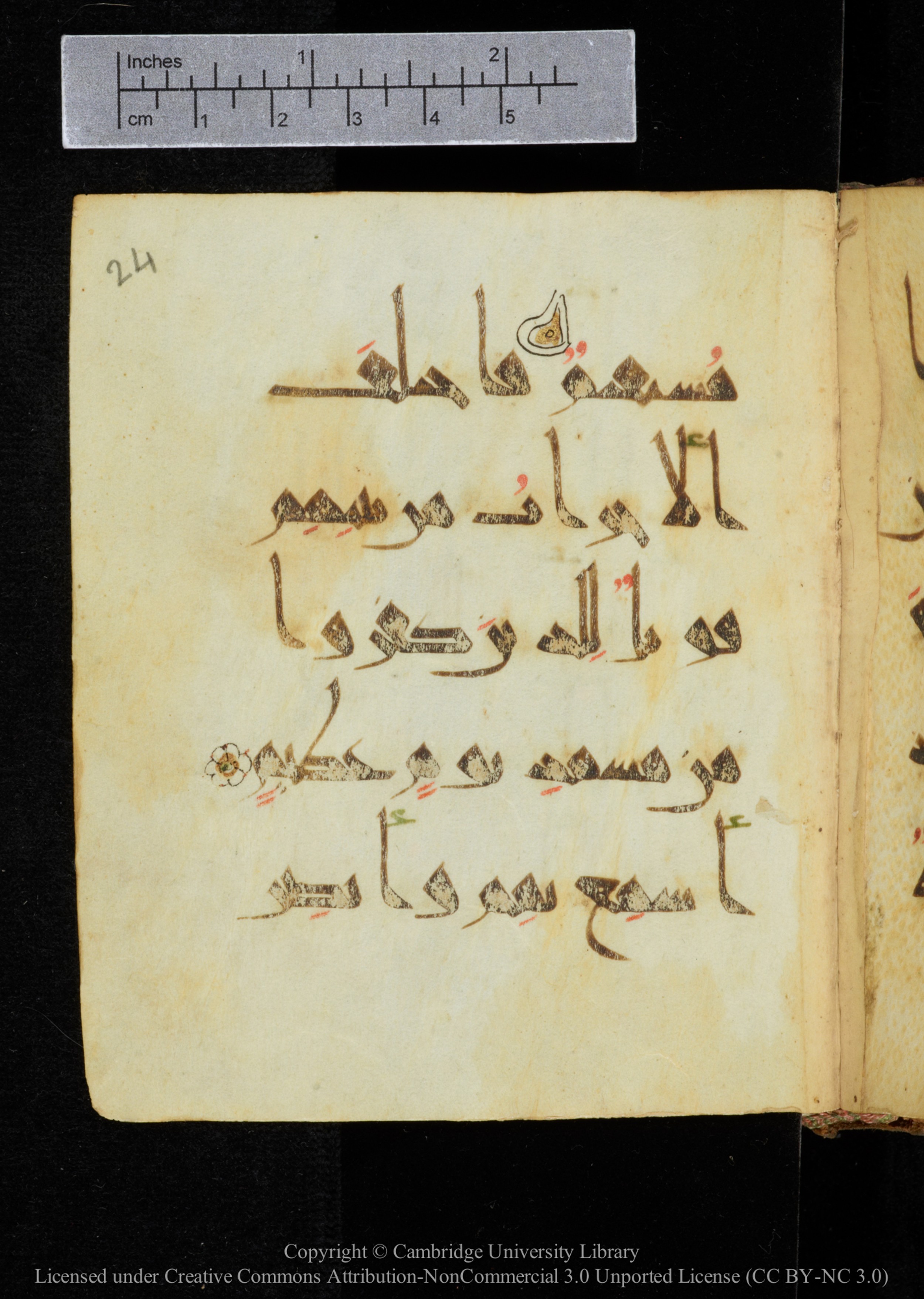 Cambridge, Cambridge University Library, MS Add.2964 (Scan 2), in New Style I script, showing Surah 19:36 from 10th to 11th Century AD found in Unknown, currently housed at Cambridge University Library, Cambridge