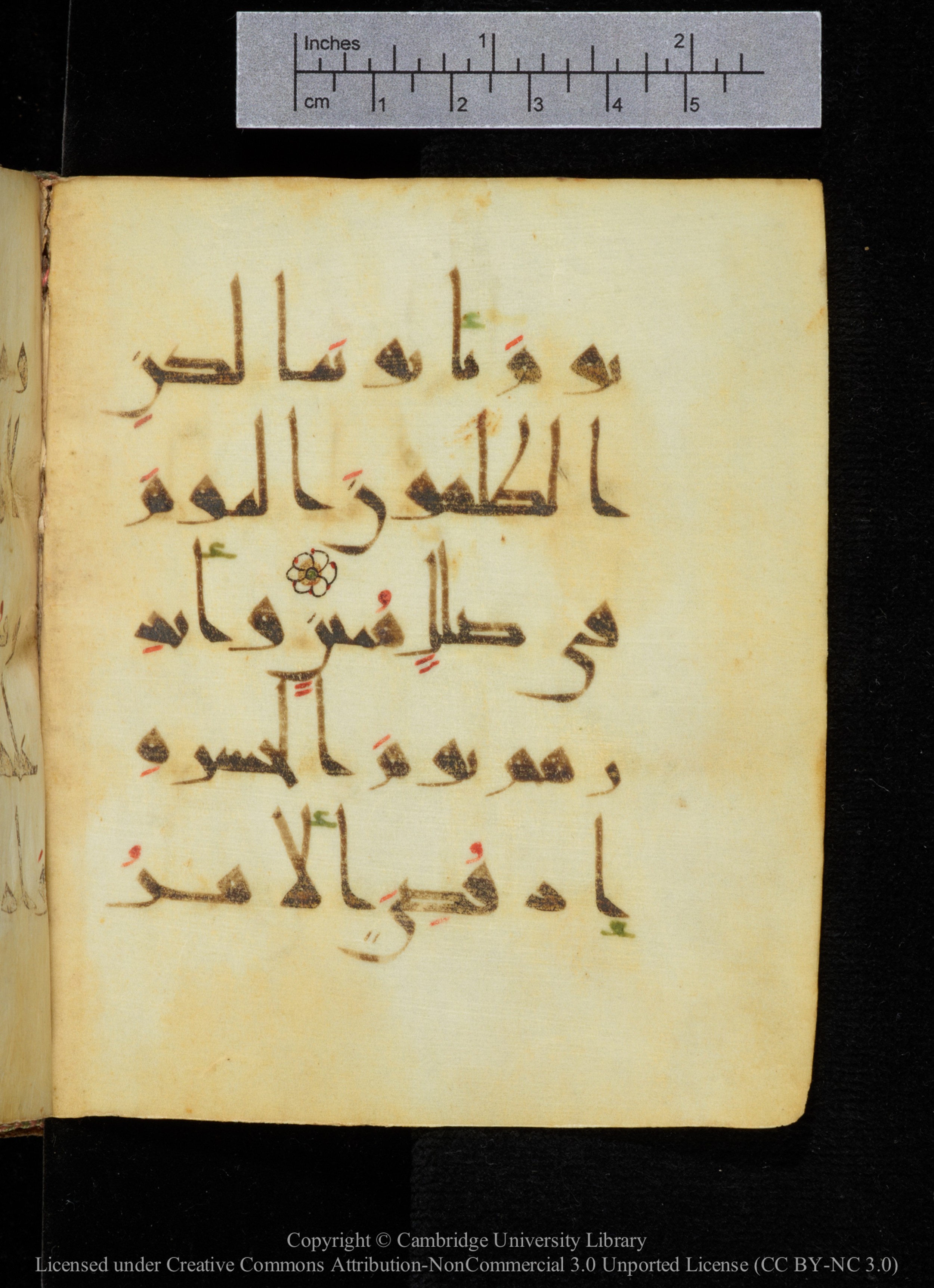 Cambridge, Cambridge University Library, MS Add.2964, in New Style I script, showing Surah 19:39 from 10th to 11th Century AD found in Unknown, currently housed at Cambridge University Library, Cambridge