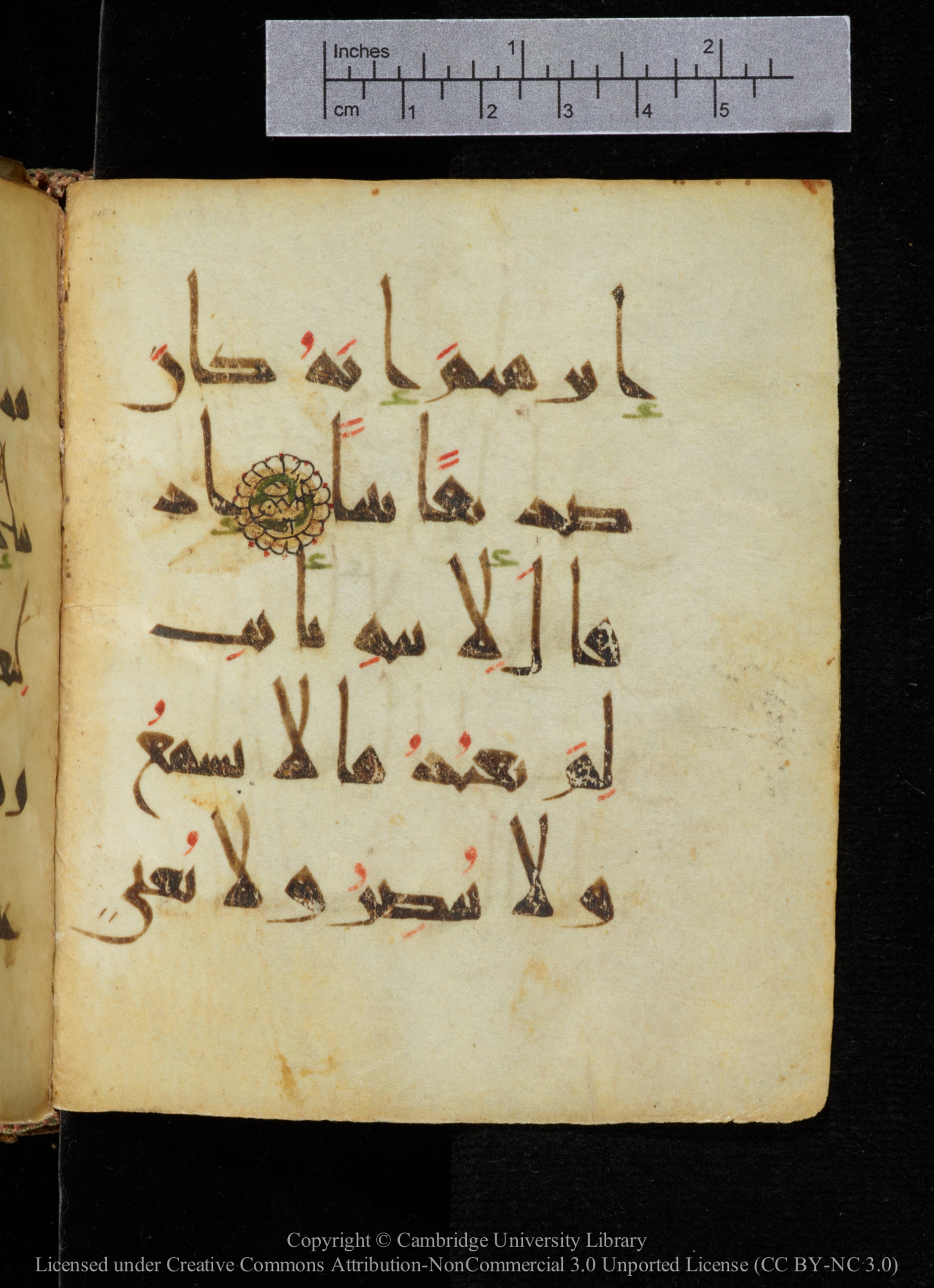 Cambridge, Cambridge University Library, MS Add.2964, in New Style I script, showing Surah 19:41 from 10th to 11th Century AD found in Unknown, currently housed at Cambridge University Library, Cambridge