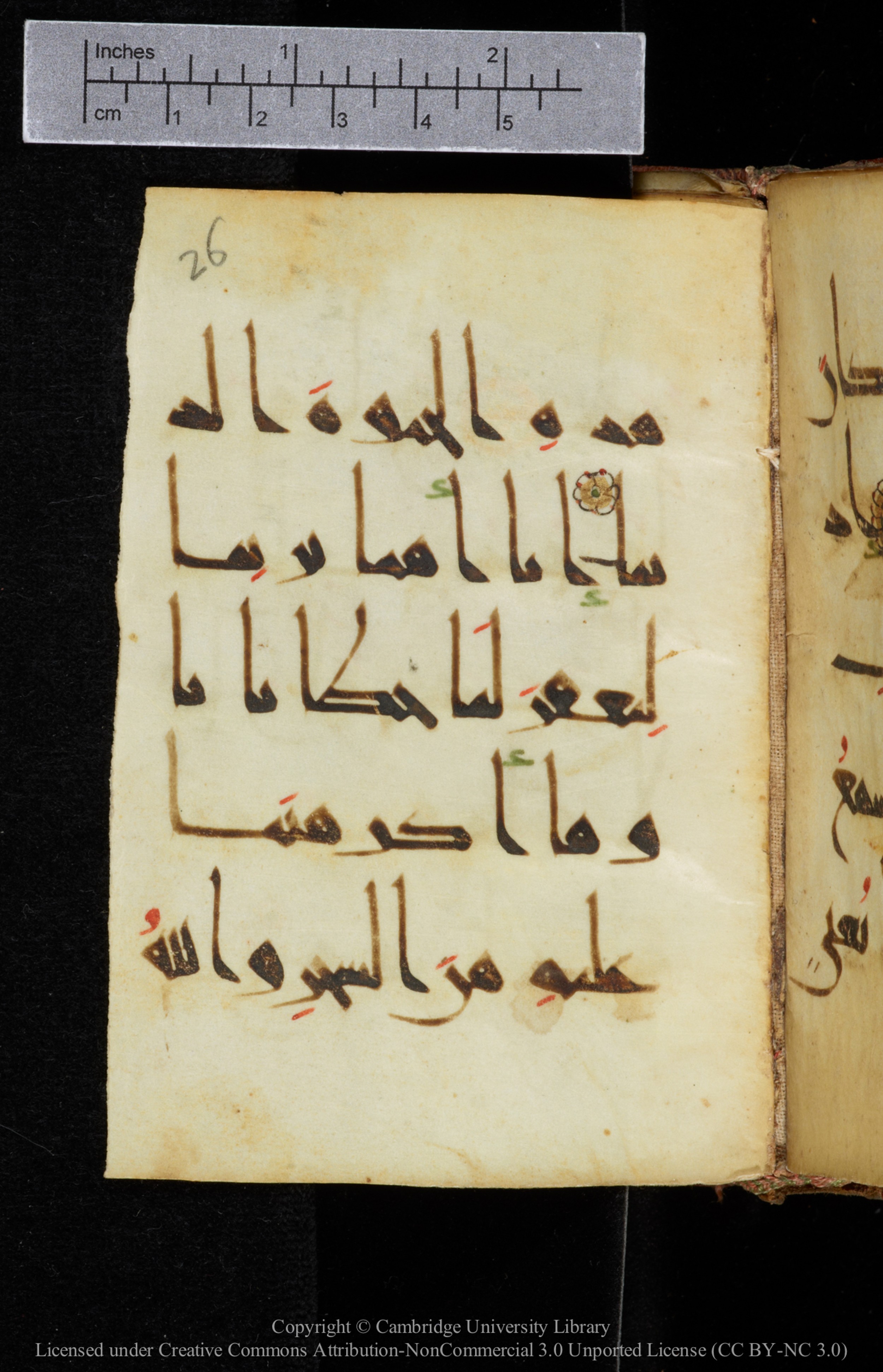 Cambridge, Cambridge University Library, MS Add.2964 (Scan 1), in New Style I script, showing Surah 20:73 from 10th to 11th Century AD found in Unknown, currently housed at Cambridge University Library, Cambridge