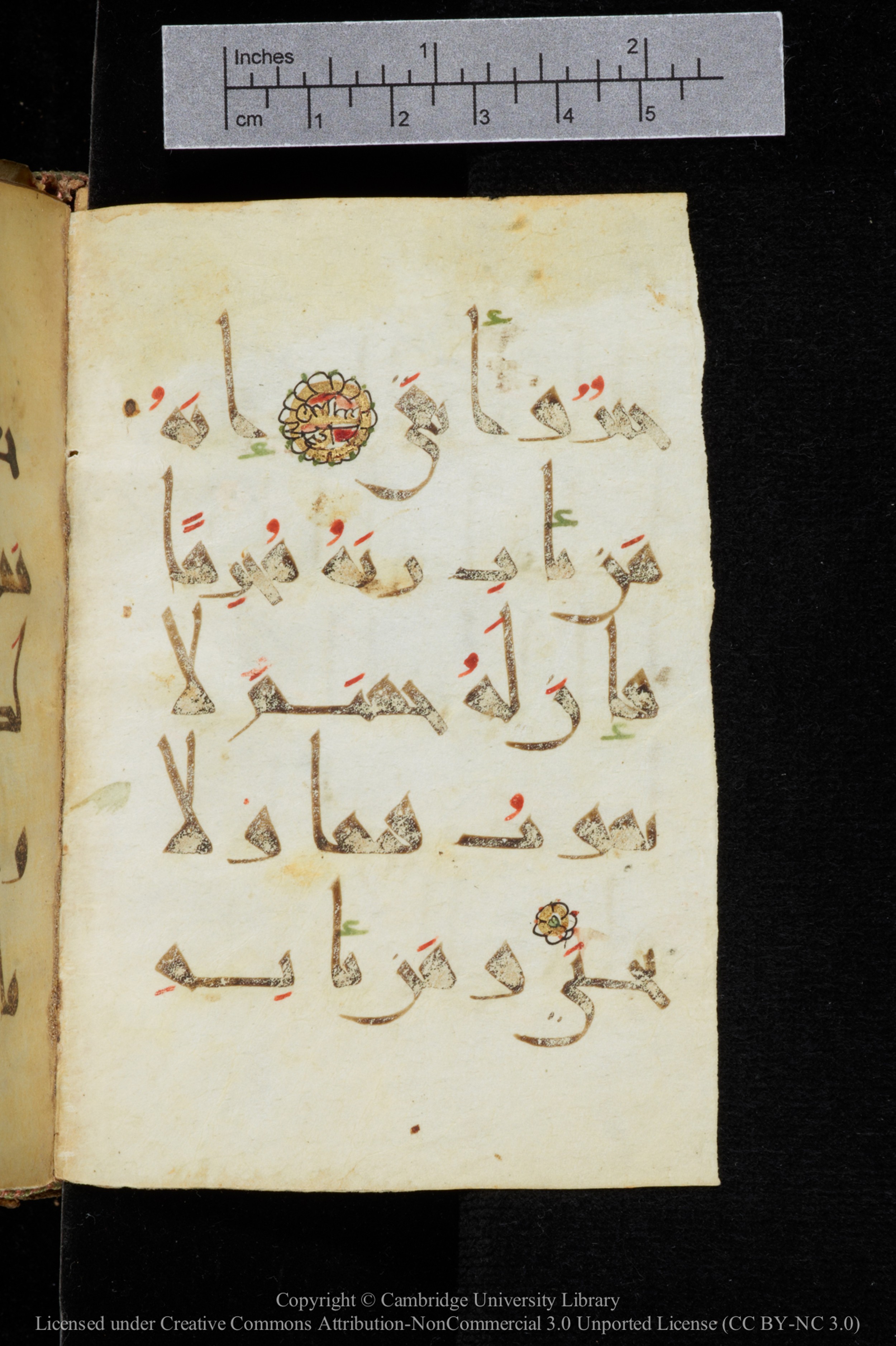 Cambridge, Cambridge University Library, MS Add.2964 (Scan 2), in New Style I script, showing Surah 20:73 from 10th to 11th Century AD found in Unknown, currently housed at Cambridge University Library, Cambridge