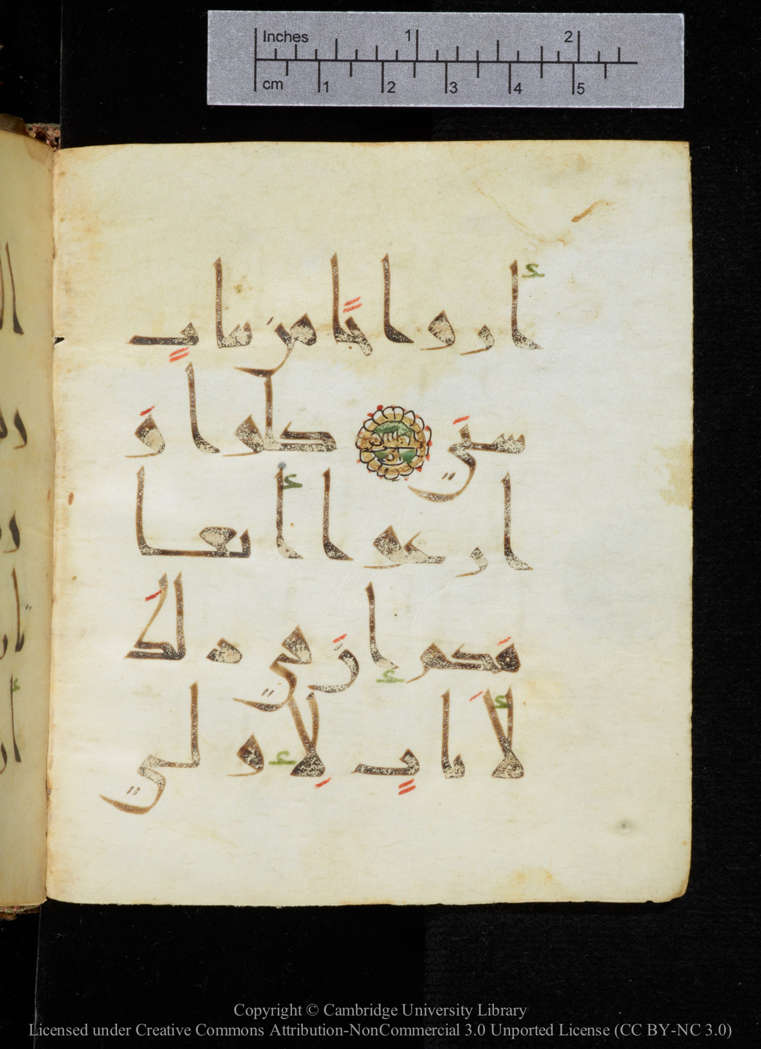 Cambridge, Cambridge University Library, MS Add.2964 (Scan 1), in New Style I script, showing Surah 20:54 from 10th to 11th Century AD found in Unknown, currently housed at Cambridge University Library, Cambridge
