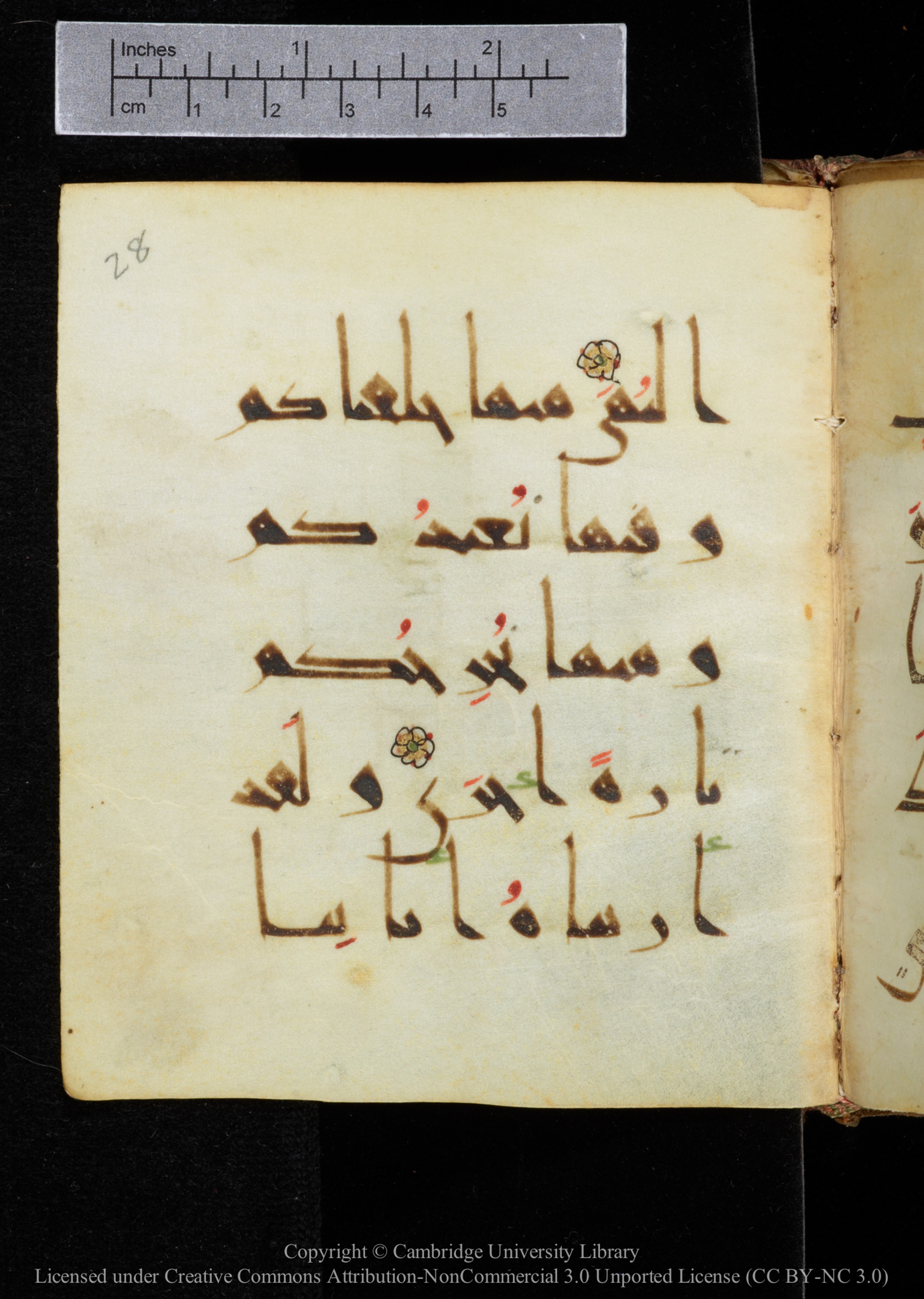 Cambridge, Cambridge University Library, MS Add.2964, in New Style I script, showing Surah 20:55 from 10th to 11th Century AD found in Unknown, currently housed at Cambridge University Library, Cambridge