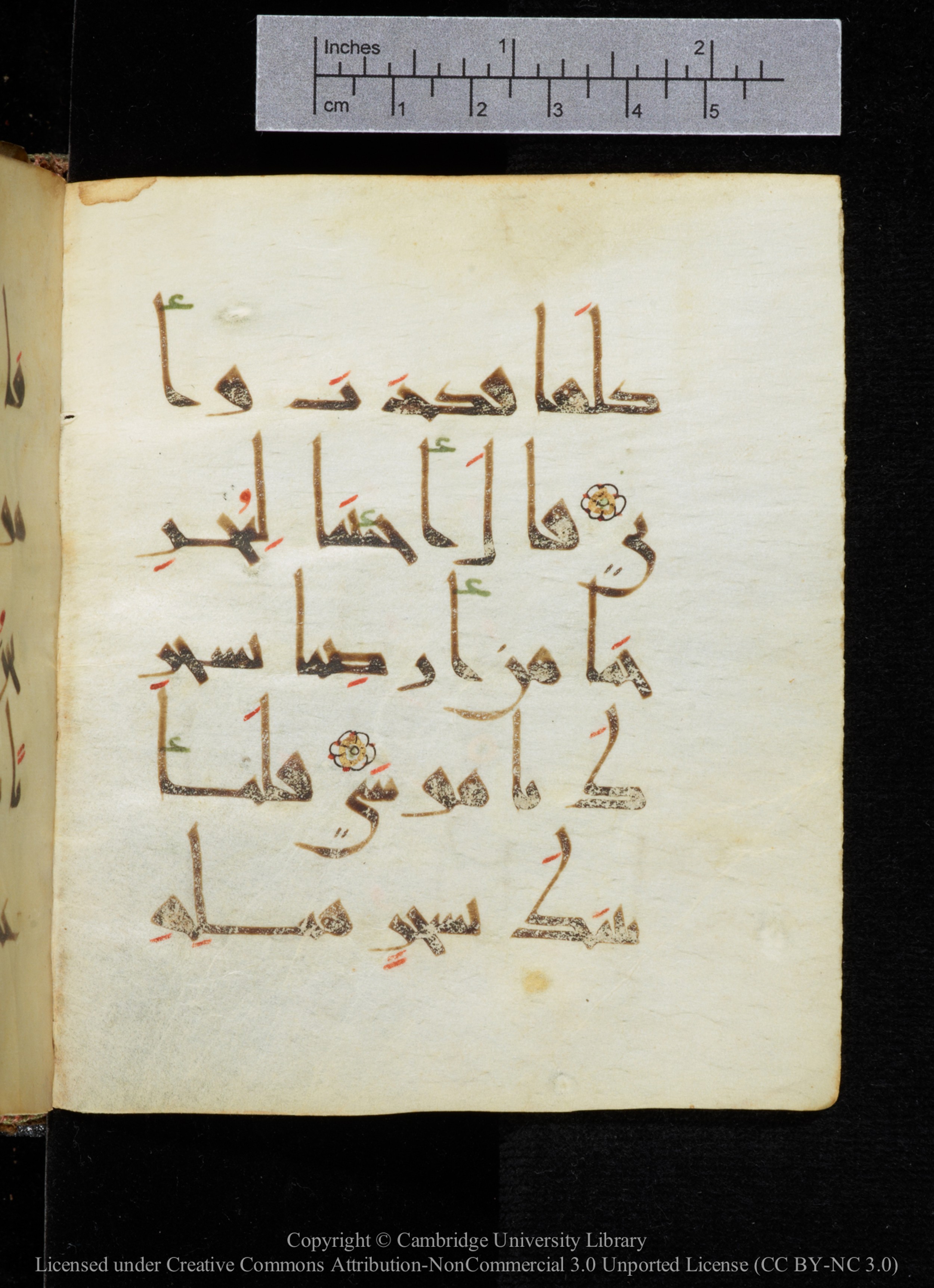 Cambridge, Cambridge University Library, MS Add.2964 (Scan 2), in New Style I script, showing Surah 20:56 from 10th to 11th Century AD found in Unknown, currently housed at Cambridge University Library, Cambridge
