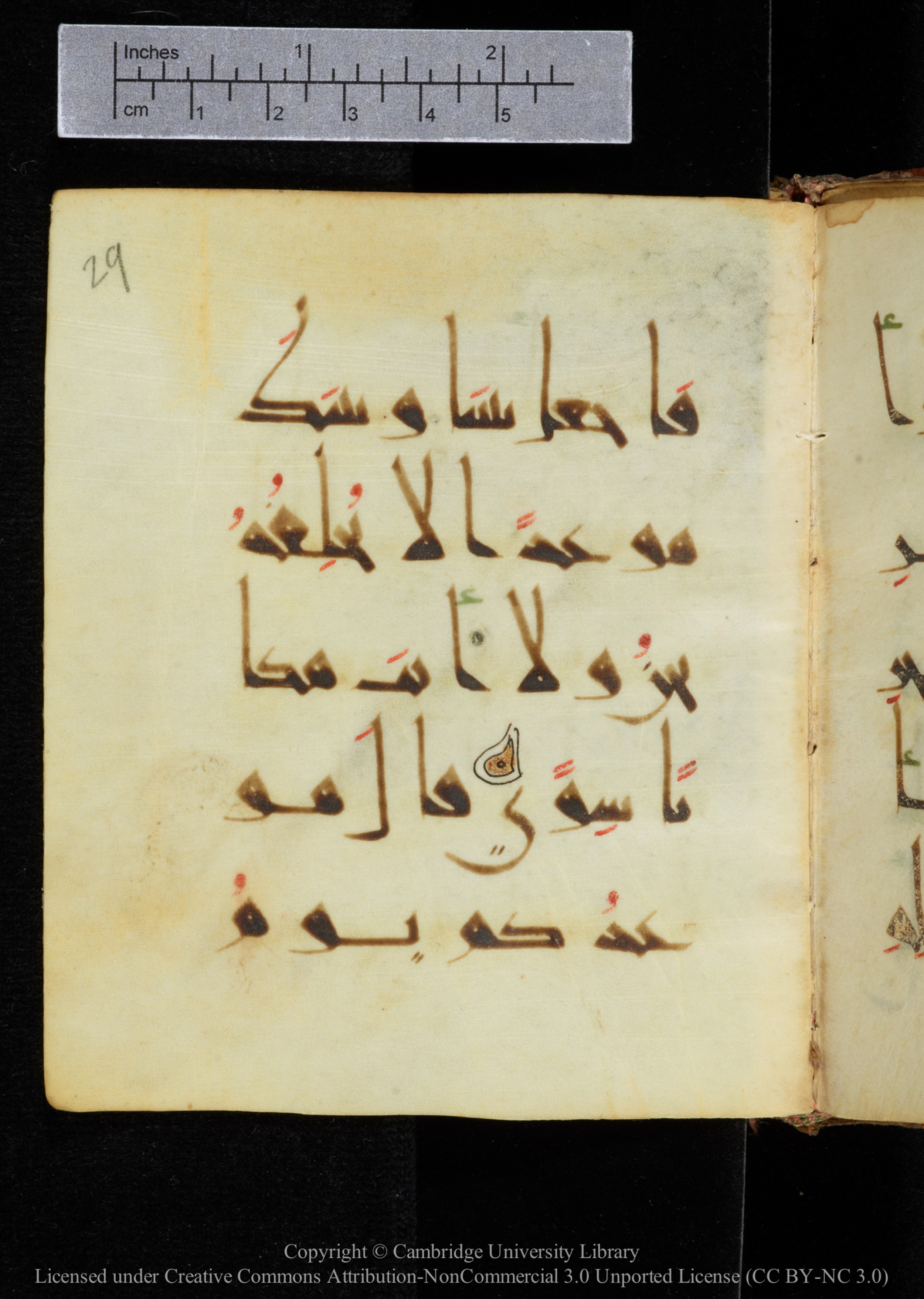 Cambridge, Cambridge University Library, MS Add.2964 (Scan 1), in New Style I script, showing Surah 20:59 from 10th to 11th Century AD found in Unknown, currently housed at Cambridge University Library, Cambridge