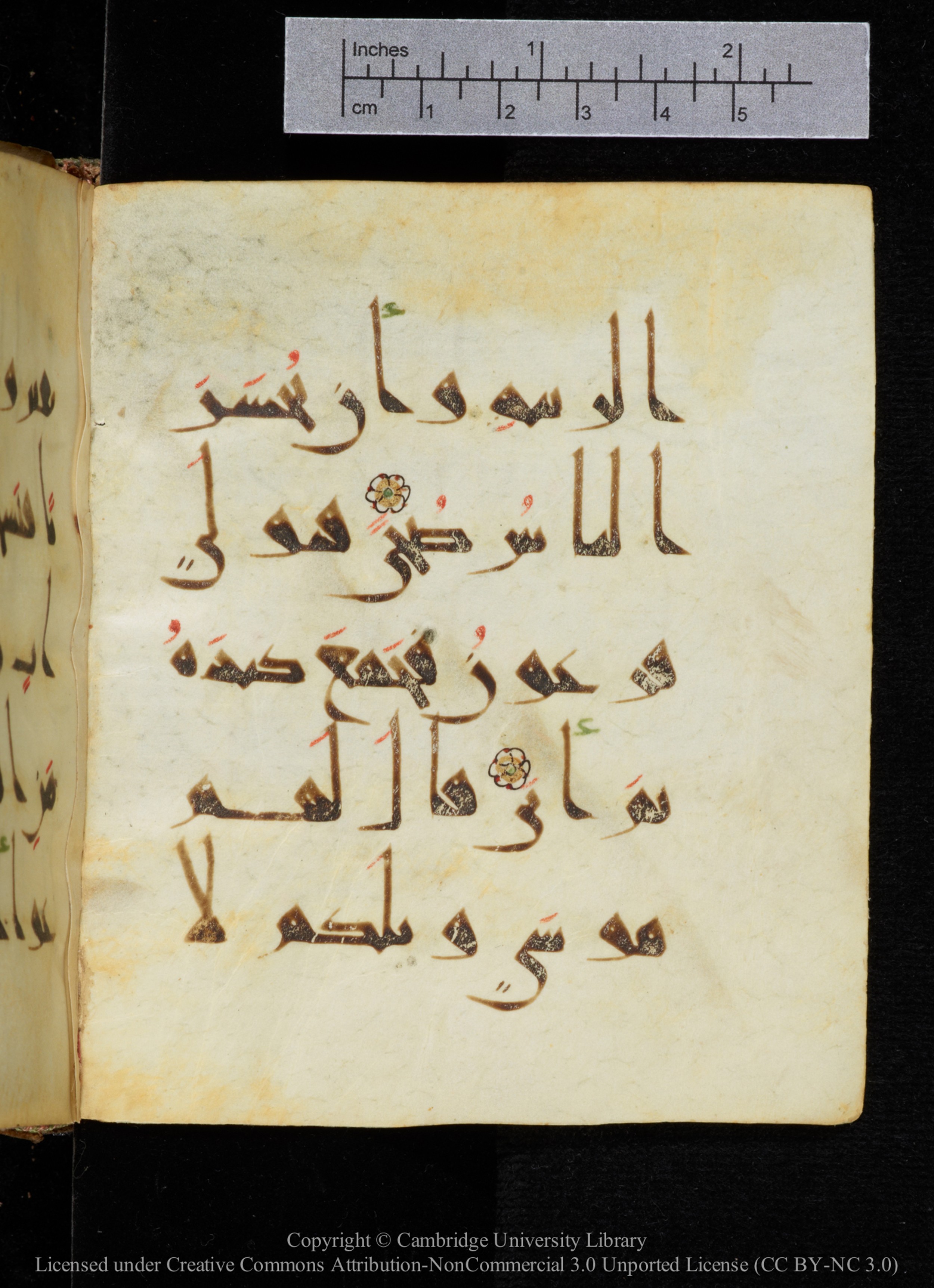 Cambridge, Cambridge University Library, MS Add.2964 (Scan 2), in New Style I script, showing Surah 20:59 from 10th to 11th Century AD found in Unknown, currently housed at Cambridge University Library, Cambridge