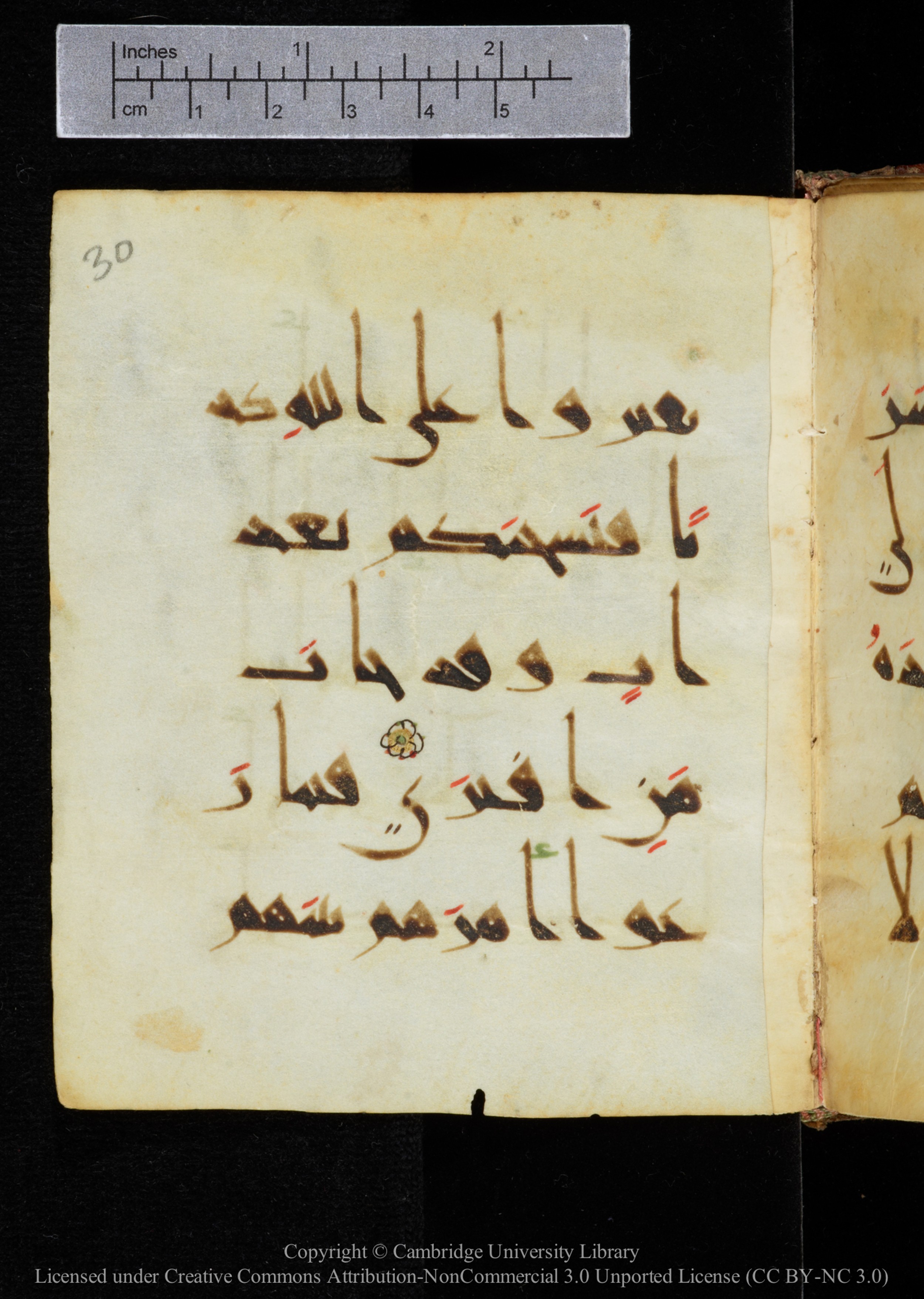 Cambridge, Cambridge University Library, MS Add.2964 (Scan 1), in New Style I script, showing Surah 20:62 from 10th to 11th Century AD found in Unknown, currently housed at Cambridge University Library, Cambridge