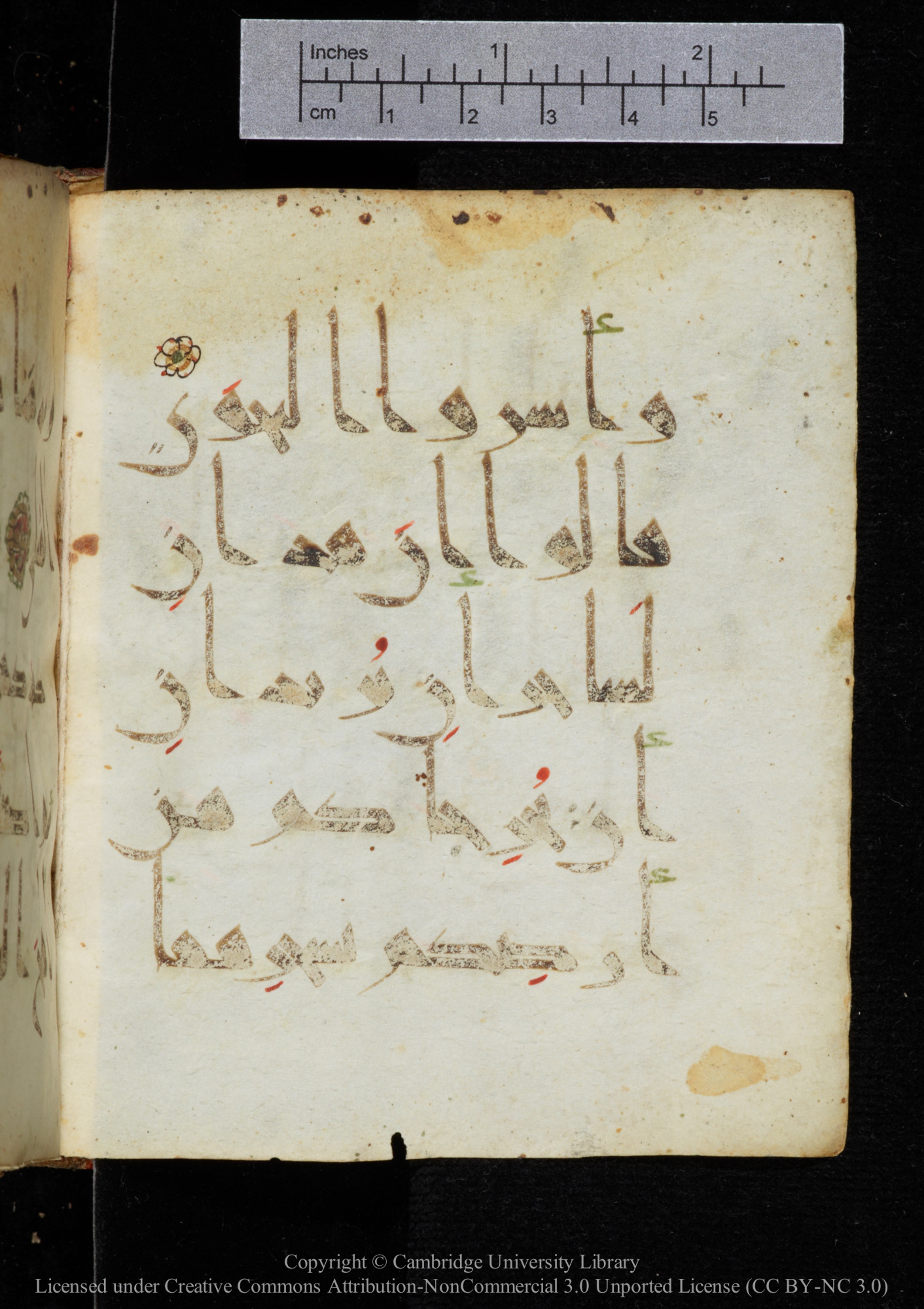Cambridge, Cambridge University Library, MS Add.2964 (Scan 1), in New Style I script, showing Surah 20:63 from 10th to 11th Century AD found in Unknown, currently housed at Cambridge University Library, Cambridge
