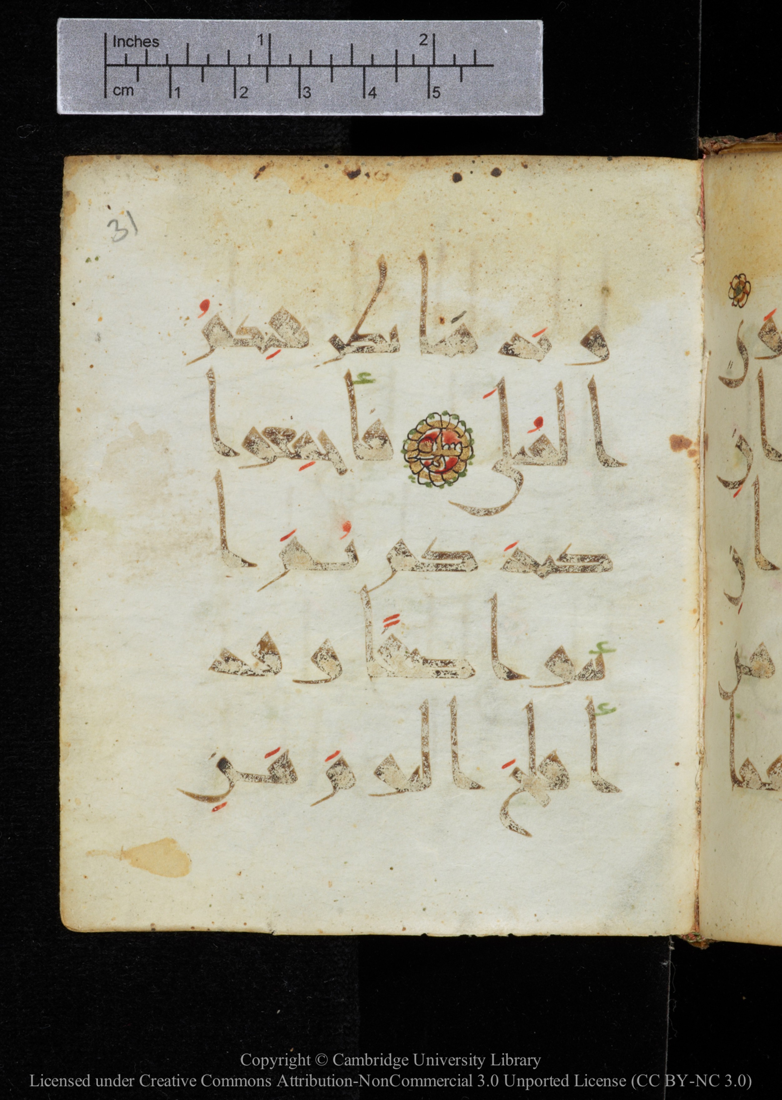 Cambridge, Cambridge University Library, MS Add.2964 (Scan 1), in New Style I script, showing Surah 20:64 from 10th to 11th Century AD found in Unknown, currently housed at Cambridge University Library, Cambridge