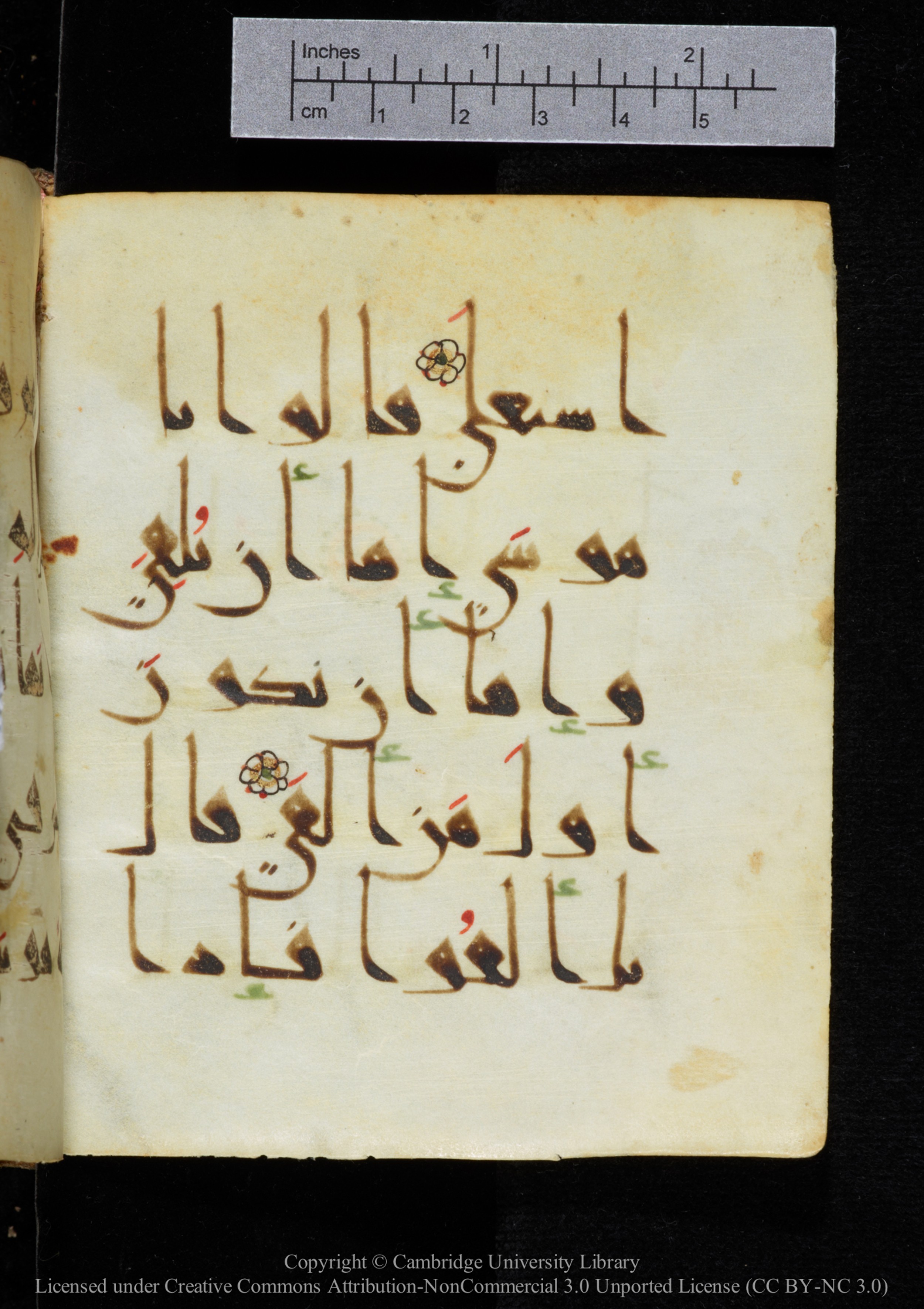 Cambridge, Cambridge University Library, MS Add.2964 (Scan 2), in New Style I script, showing Surah 20:64 from 10th to 11th Century AD found in Unknown, currently housed at Cambridge University Library, Cambridge