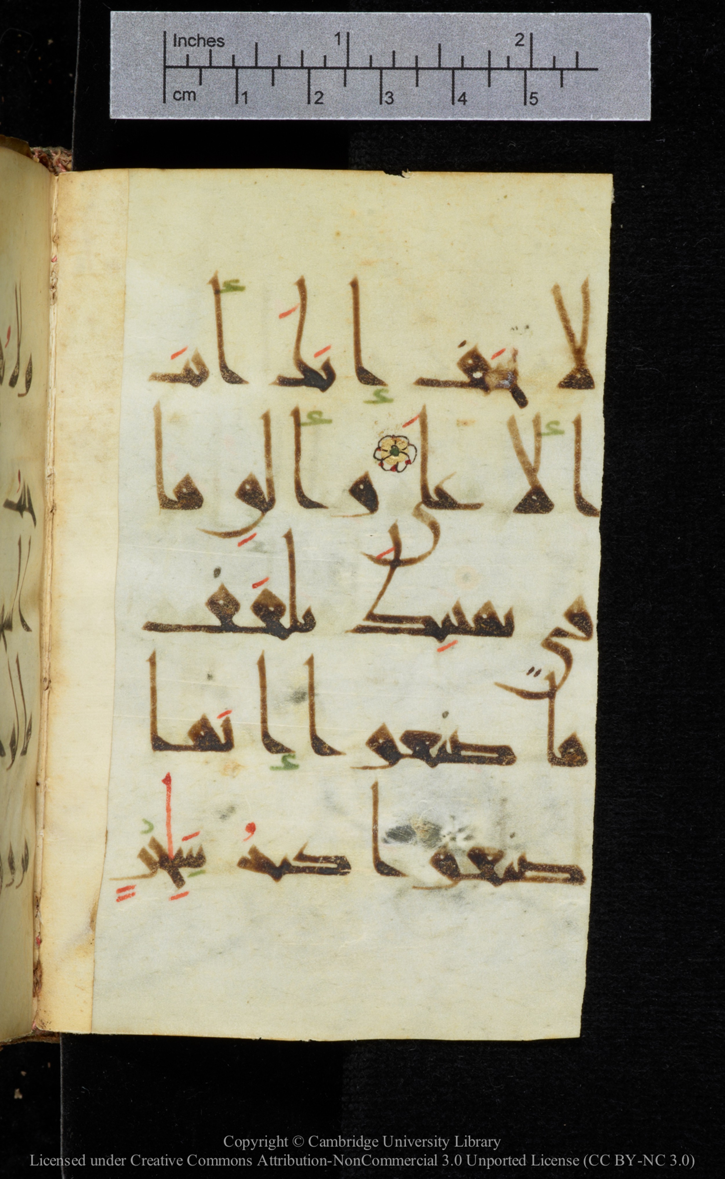 Cambridge, Cambridge University Library, MS Add.2964 (Scan 1), in New Style I script, showing Surah 20:69 from 10th to 11th Century AD found in Unknown, currently housed at Cambridge University Library, Cambridge