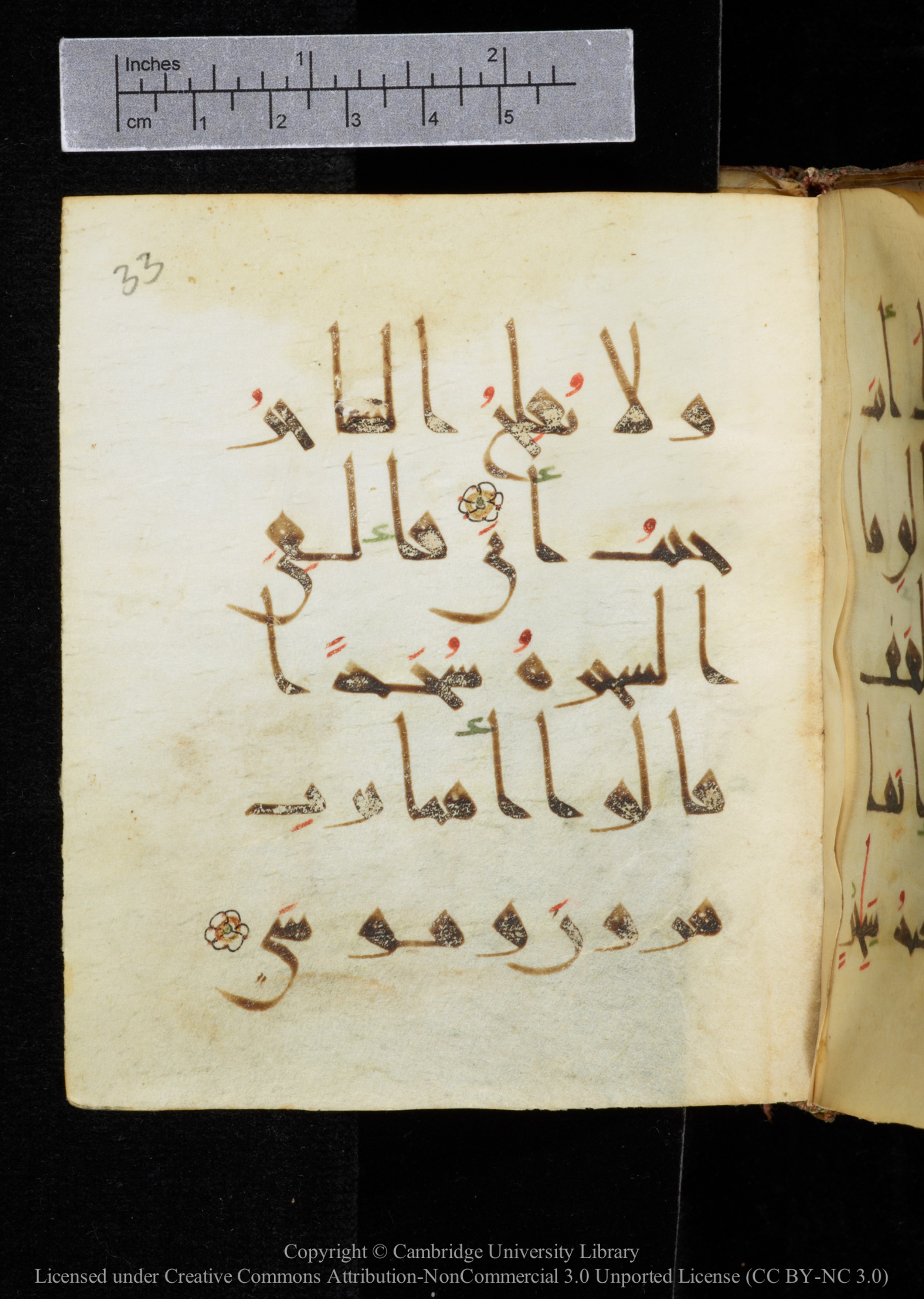 Cambridge, Cambridge University Library, MS Add.2964 (Scan 2), in New Style I script, showing Surah 20:69 from 10th to 11th Century AD found in Unknown, currently housed at Cambridge University Library, Cambridge