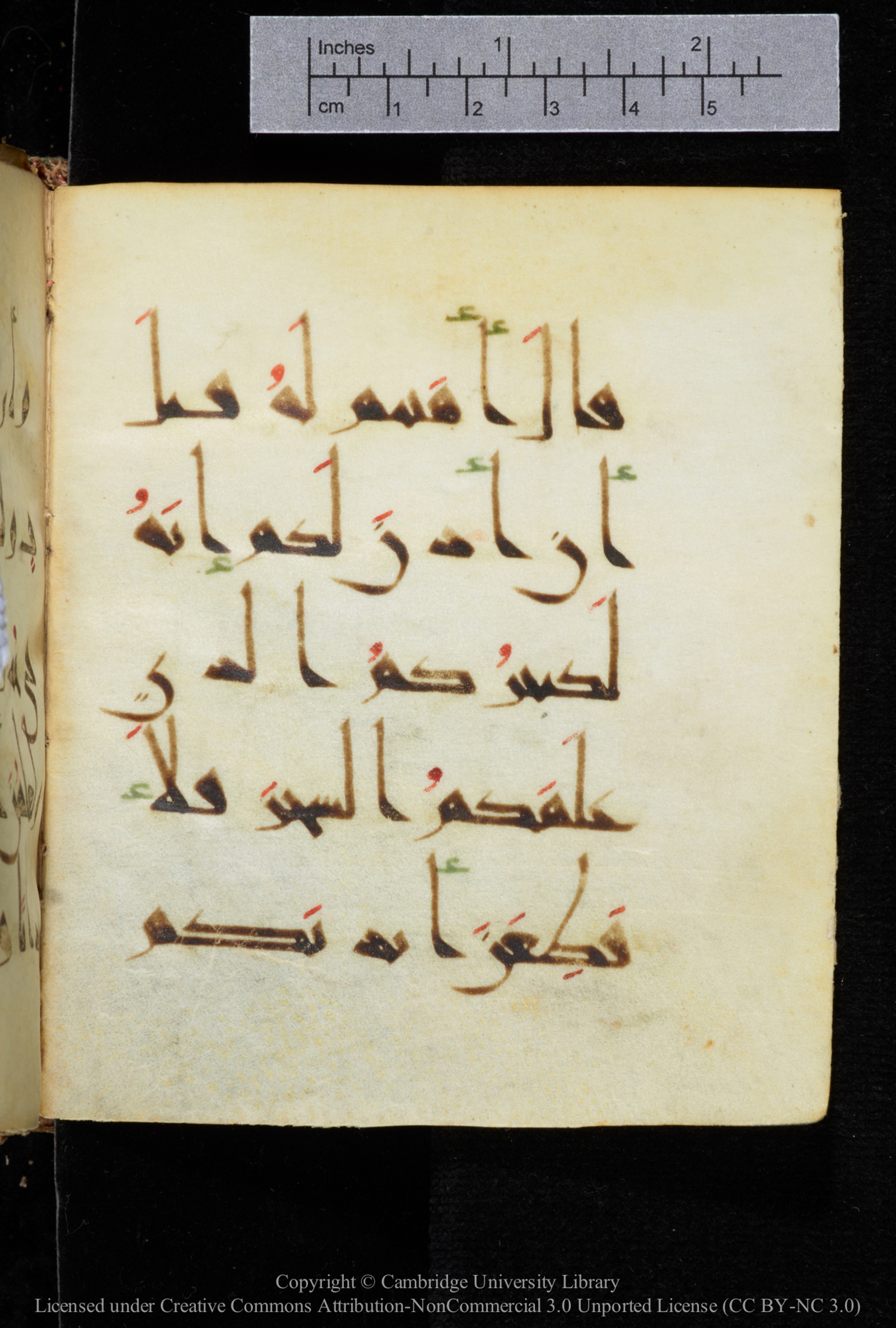 Cambridge, Cambridge University Library, MS Add.2964 (Scan 1), in New Style I script, showing Surah 20:71 from 10th to 11th Century AD found in Unknown, currently housed at Cambridge University Library, Cambridge