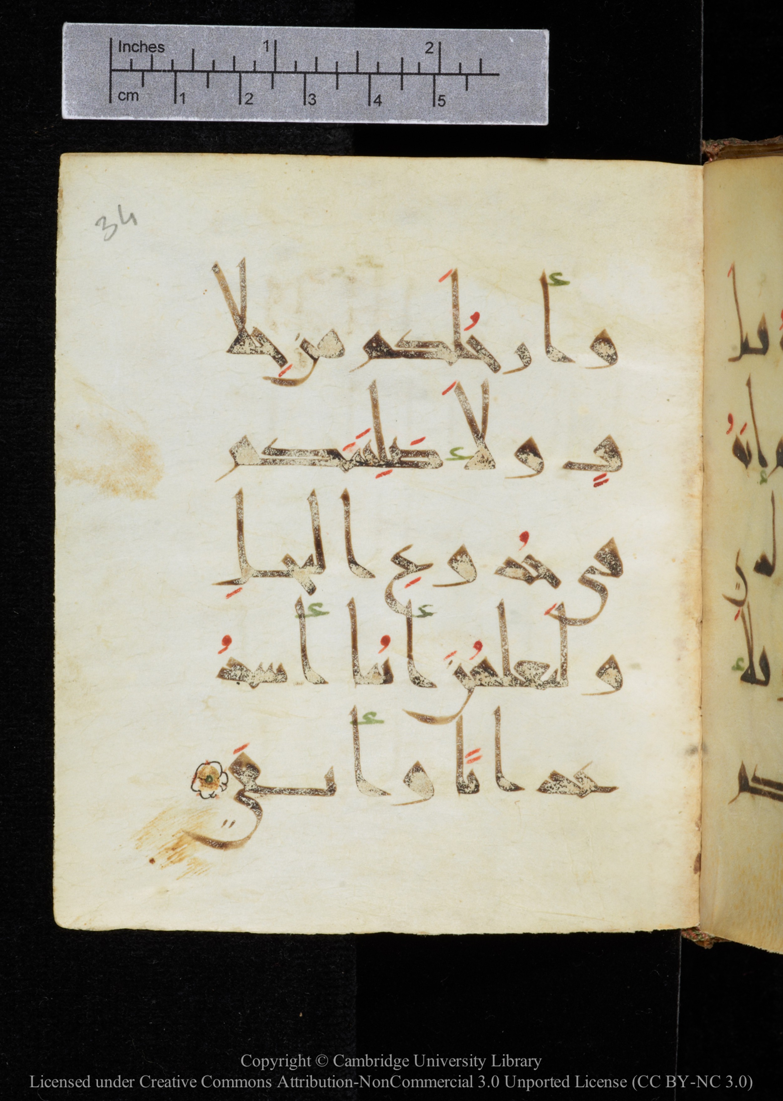 Cambridge, Cambridge University Library, MS Add.2964 (Scan 2), in New Style I script, showing Surah 20:71 from 10th to 11th Century AD found in Unknown, currently housed at Cambridge University Library, Cambridge