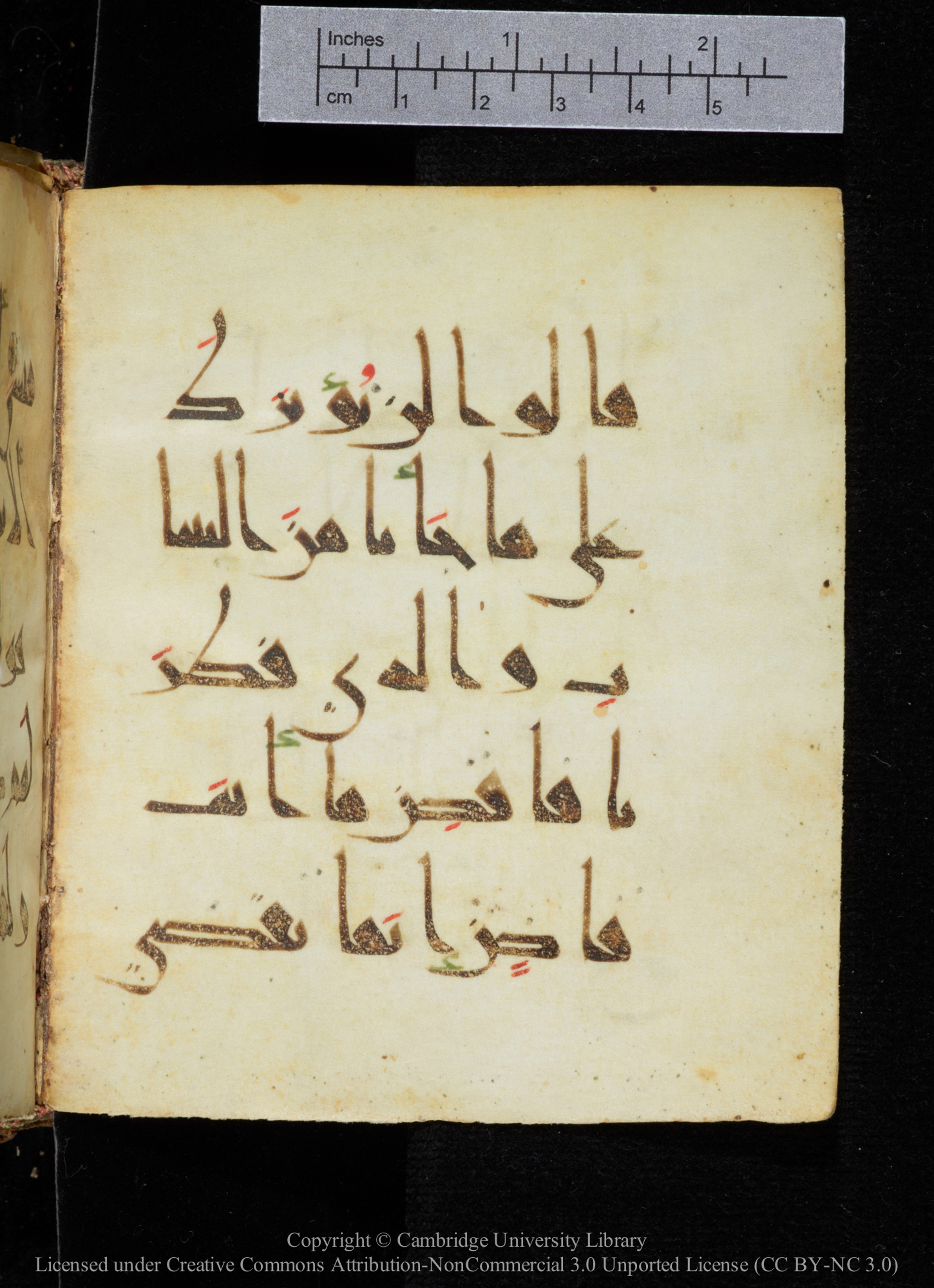 Cambridge, Cambridge University Library, MS Add.2964 (Scan 2), in New Style I script, showing Surah 20:72 from 10th to 11th Century AD found in Unknown, currently housed at Cambridge University Library, Cambridge