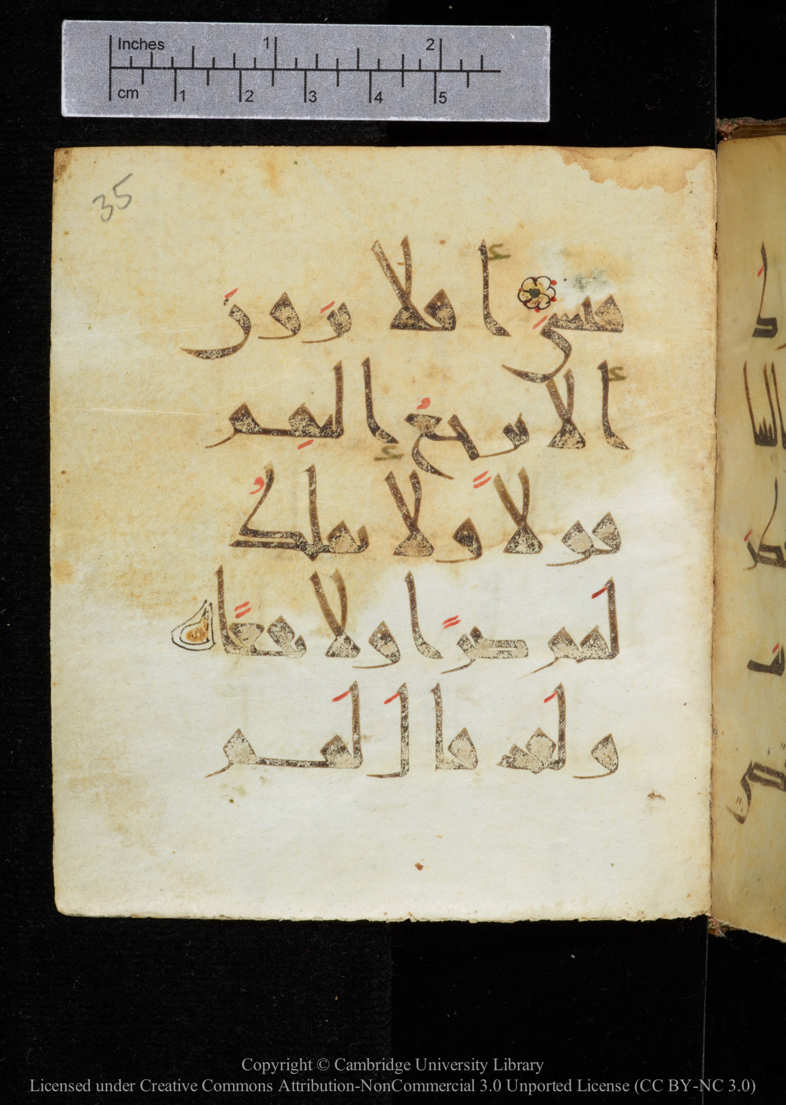 Cambridge, Cambridge University Library, MS Add.2964, in New Style I script, showing Surah 20:89 from 10th to 11th Century AD found in Unknown, currently housed at Cambridge University Library, Cambridge