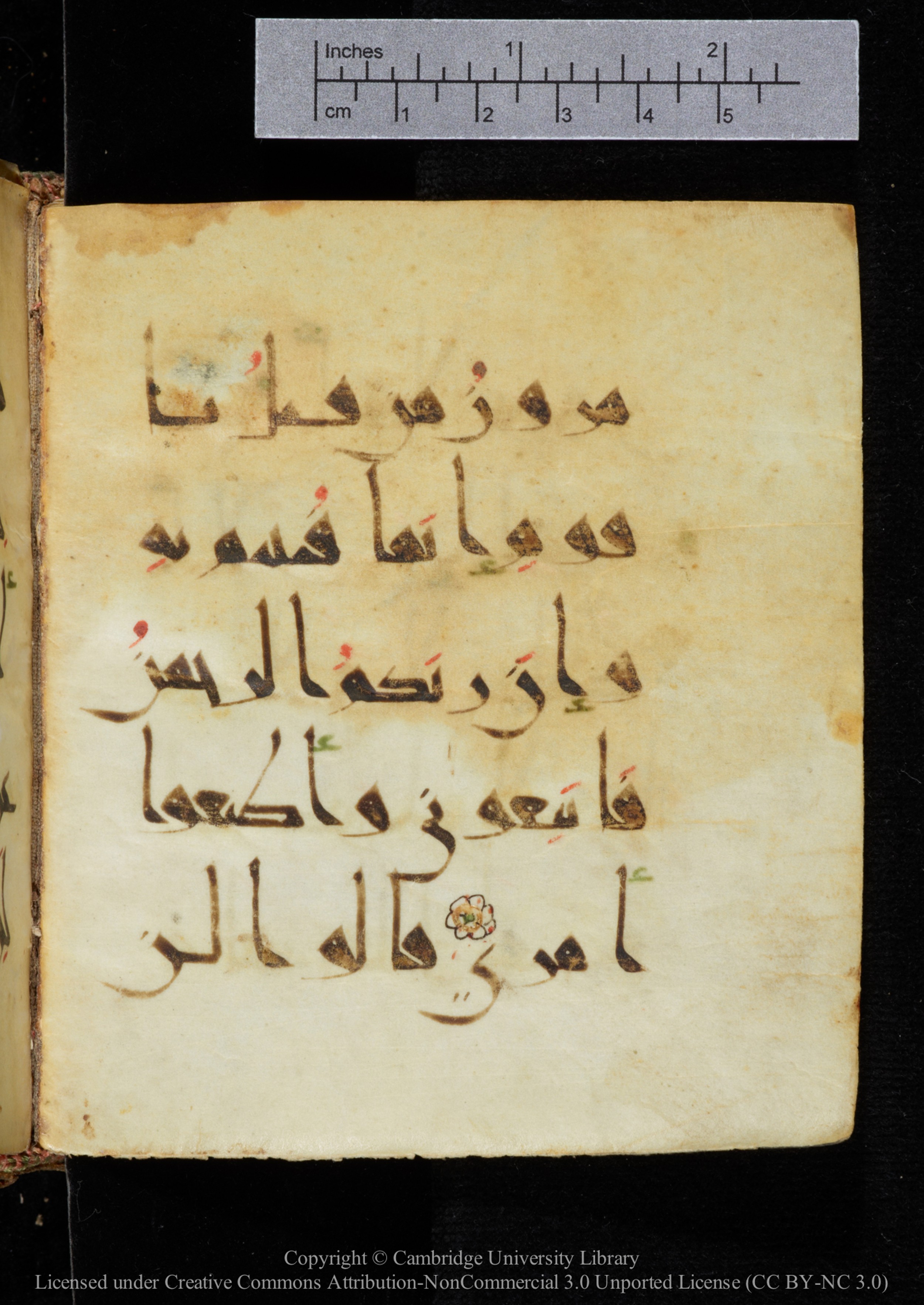 Cambridge, Cambridge University Library, MS Add.2964 (Scan 1), in New Style I script, showing Surah 20:91 from 10th to 11th Century AD found in Unknown, currently housed at Cambridge University Library, Cambridge