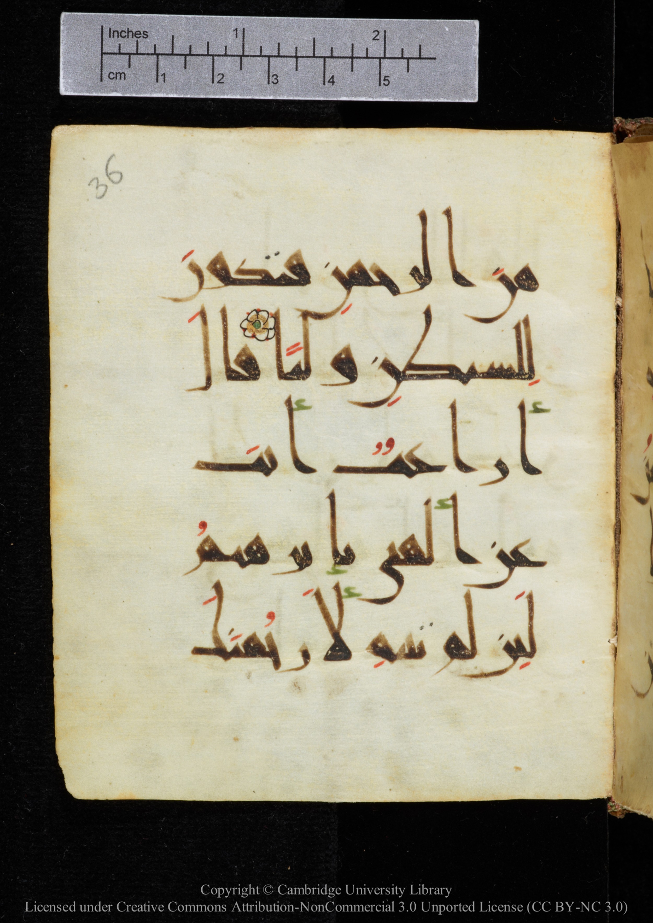 Cambridge, Cambridge University Library, MS Add.2964 (Scan 1), in New Style I script, showing Surah 19:46 from 10th to 11th Century AD found in Unknown, currently housed at Cambridge University Library, Cambridge