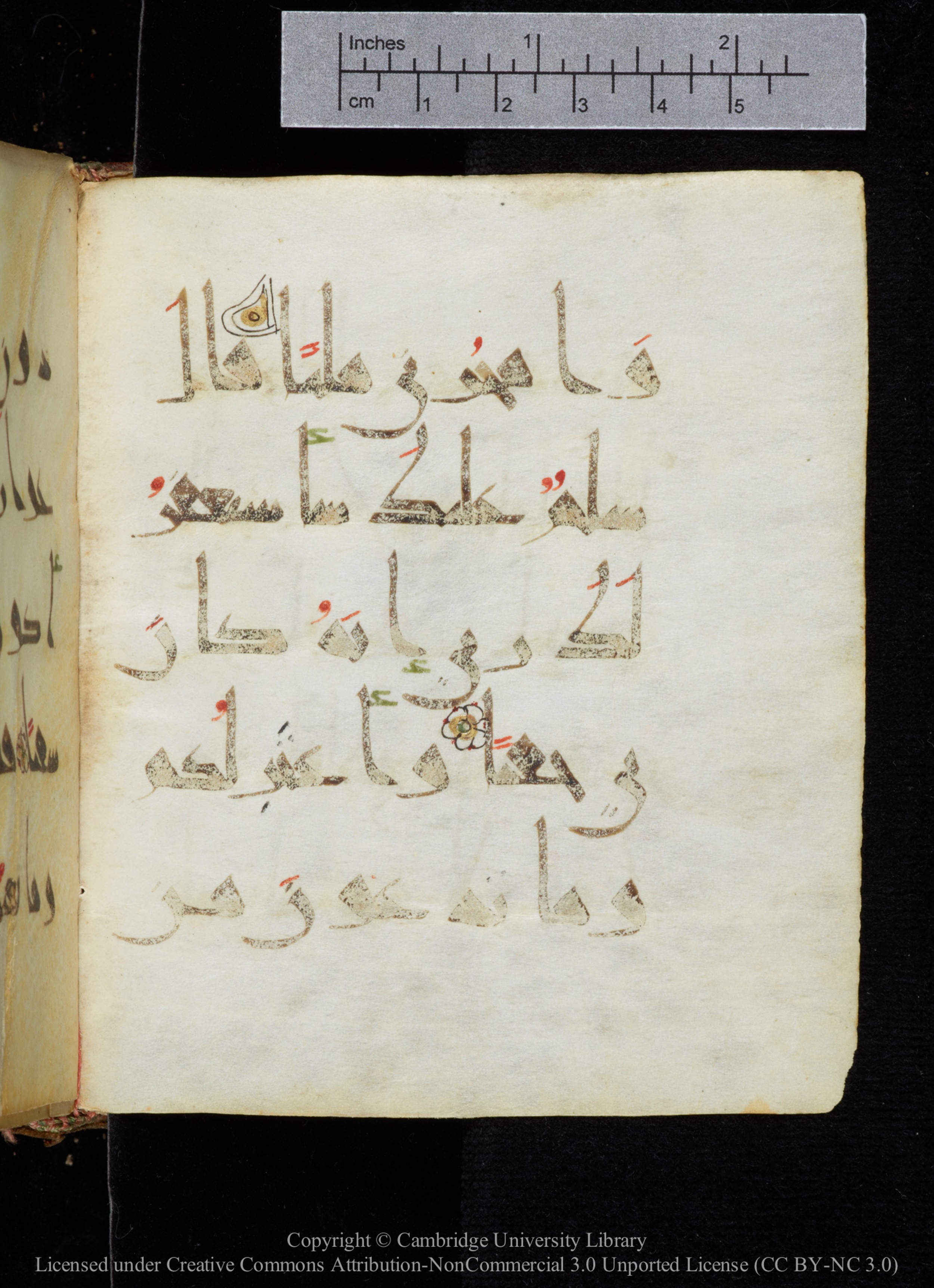 Cambridge, Cambridge University Library, MS Add.2964 (Scan 2), in New Style I script, showing Surah 19:46 from 10th to 11th Century AD found in Unknown, currently housed at Cambridge University Library, Cambridge