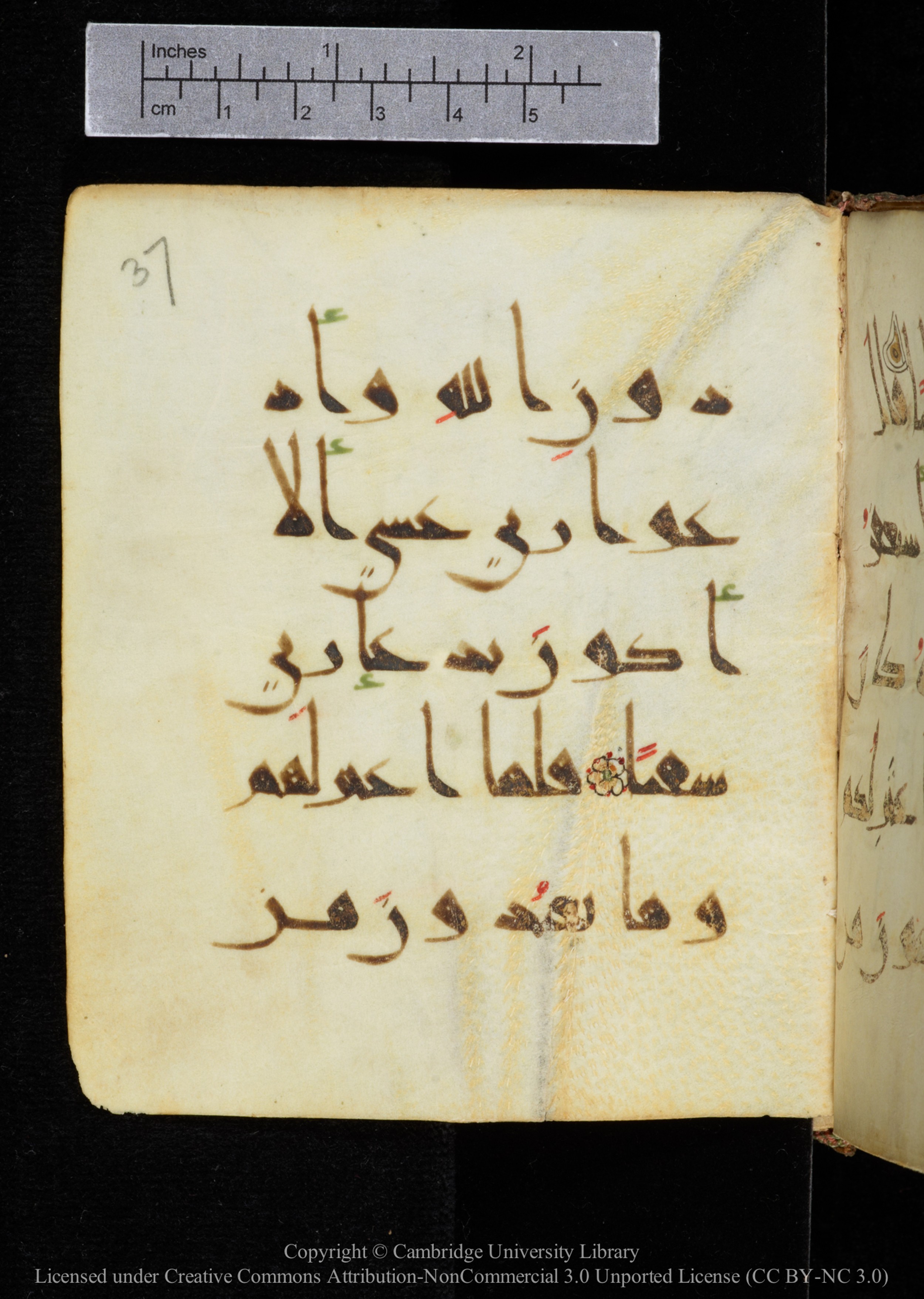 Cambridge, Cambridge University Library, MS Add.2964 (Scan 1), in New Style I script, showing Surah 19:49 from 10th to 11th Century AD found in Unknown, currently housed at Cambridge University Library, Cambridge