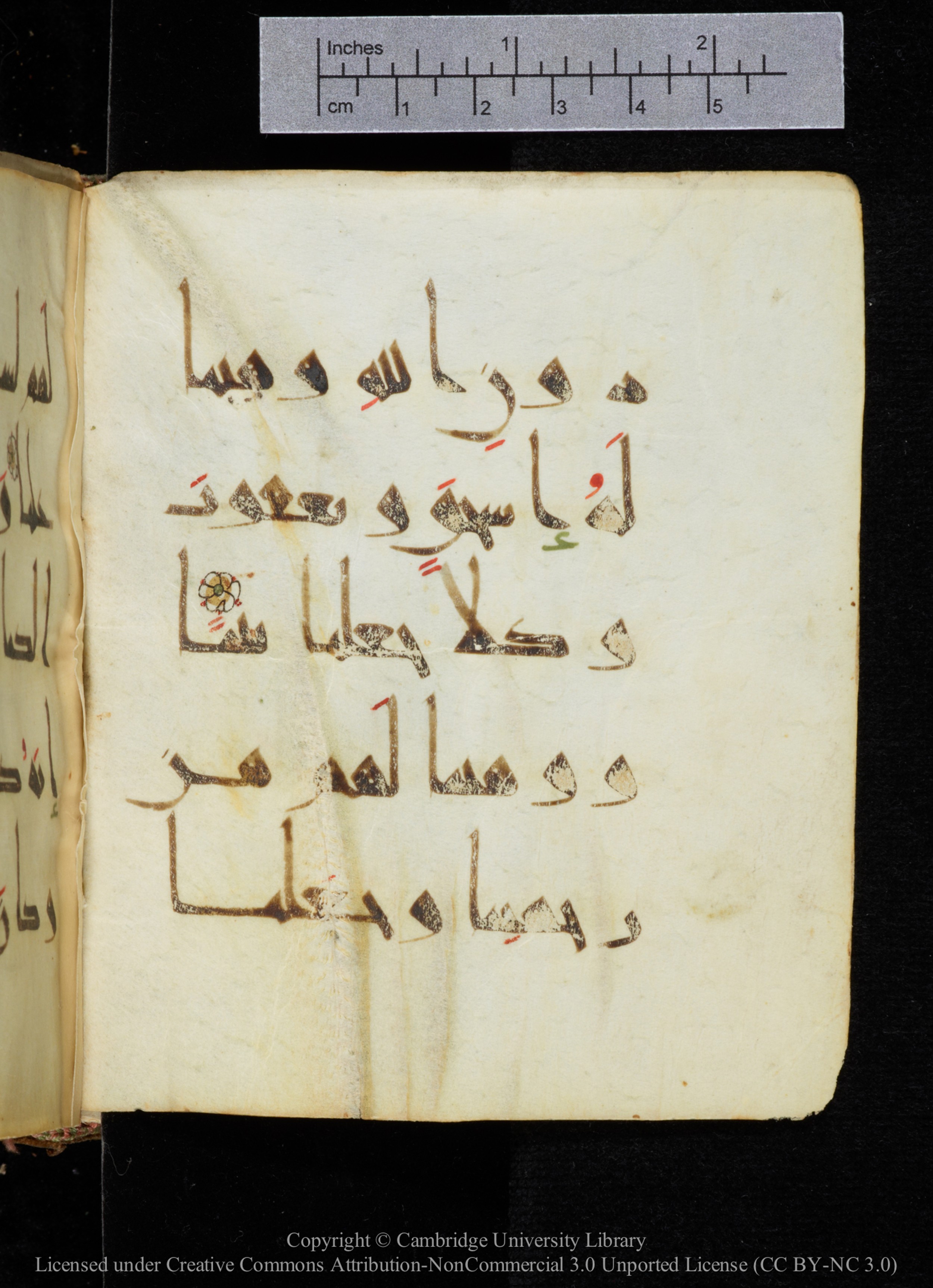Cambridge, Cambridge University Library, MS Add.2964 (Scan 2), in New Style I script, showing Surah 19:49 from 10th to 11th Century AD found in Unknown, currently housed at Cambridge University Library, Cambridge