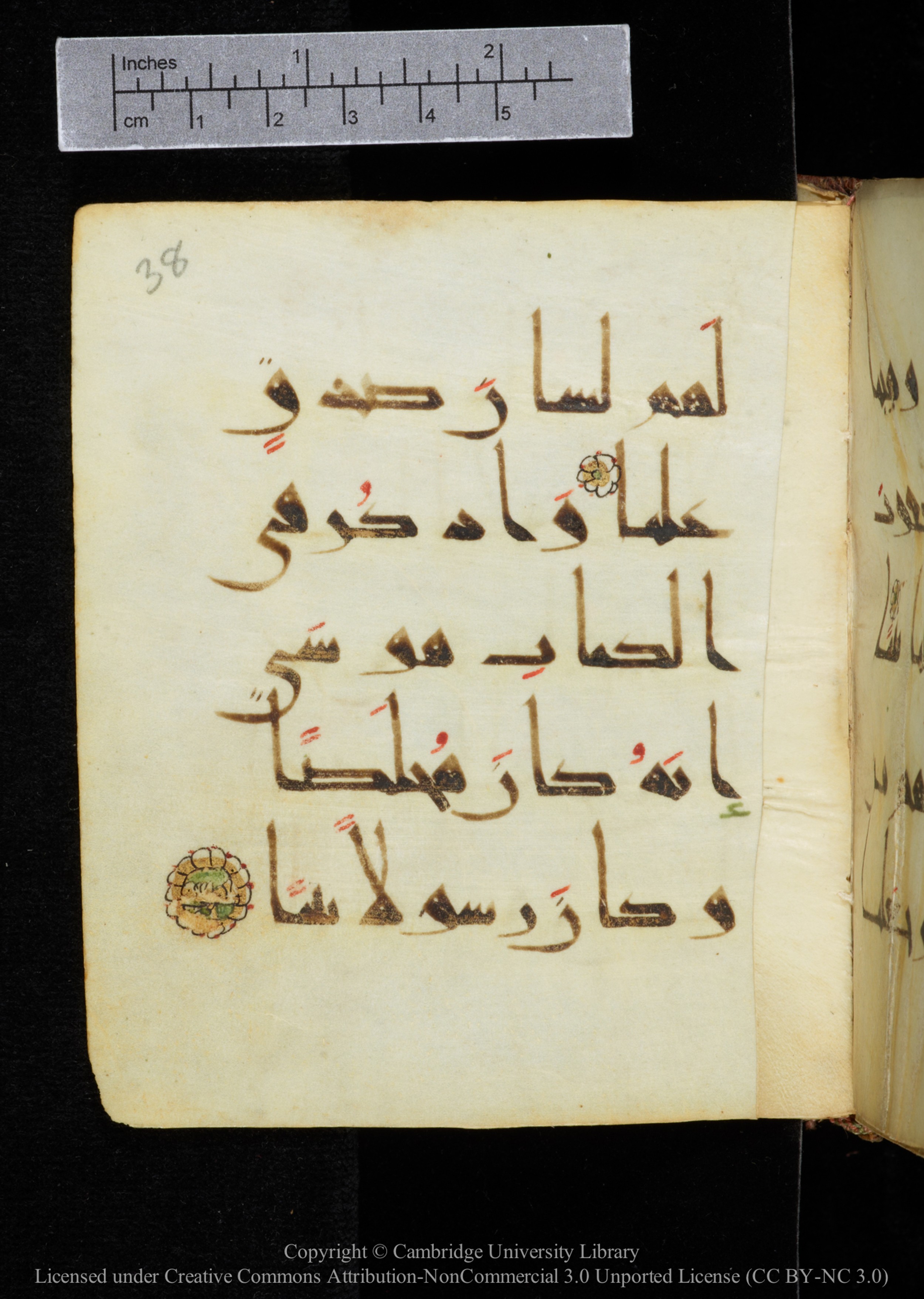 Cambridge, Cambridge University Library, MS Add.2964, in New Style I script, showing Surah 19:51 from 10th to 11th Century AD found in Unknown, currently housed at Cambridge University Library, Cambridge
