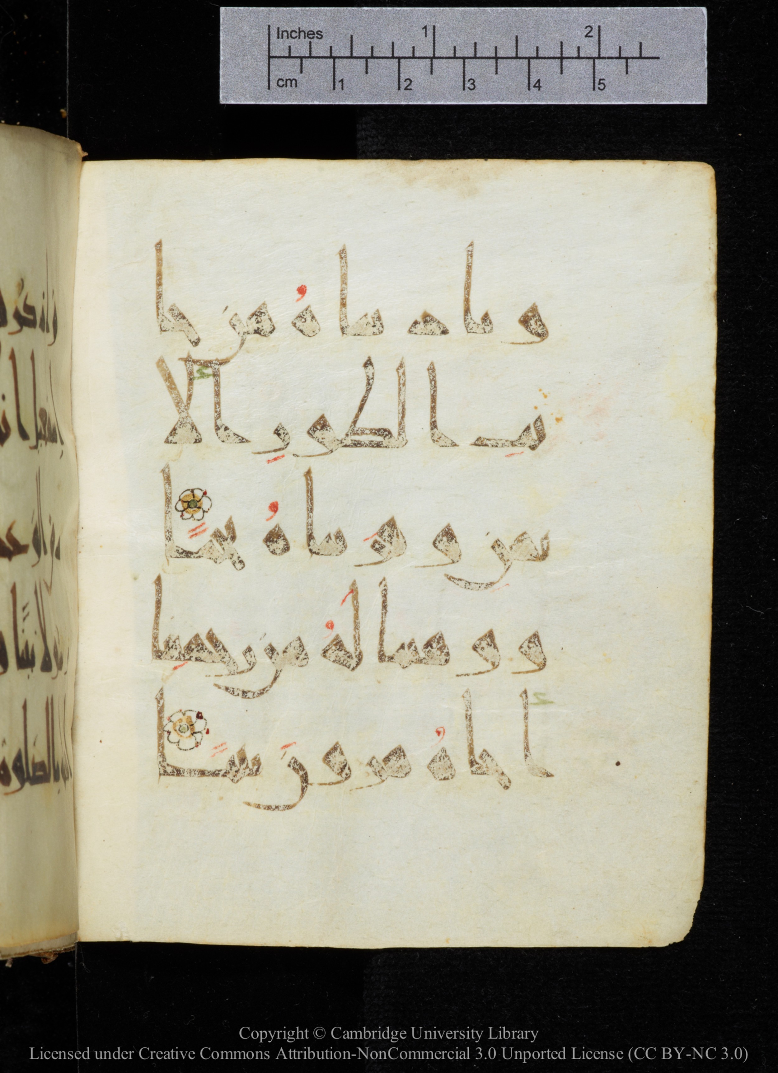 Cambridge, Cambridge University Library, MS Add.2964, in New Style I script, showing Surah 19:52 from 10th to 11th Century AD found in Unknown, currently housed at Cambridge University Library, Cambridge