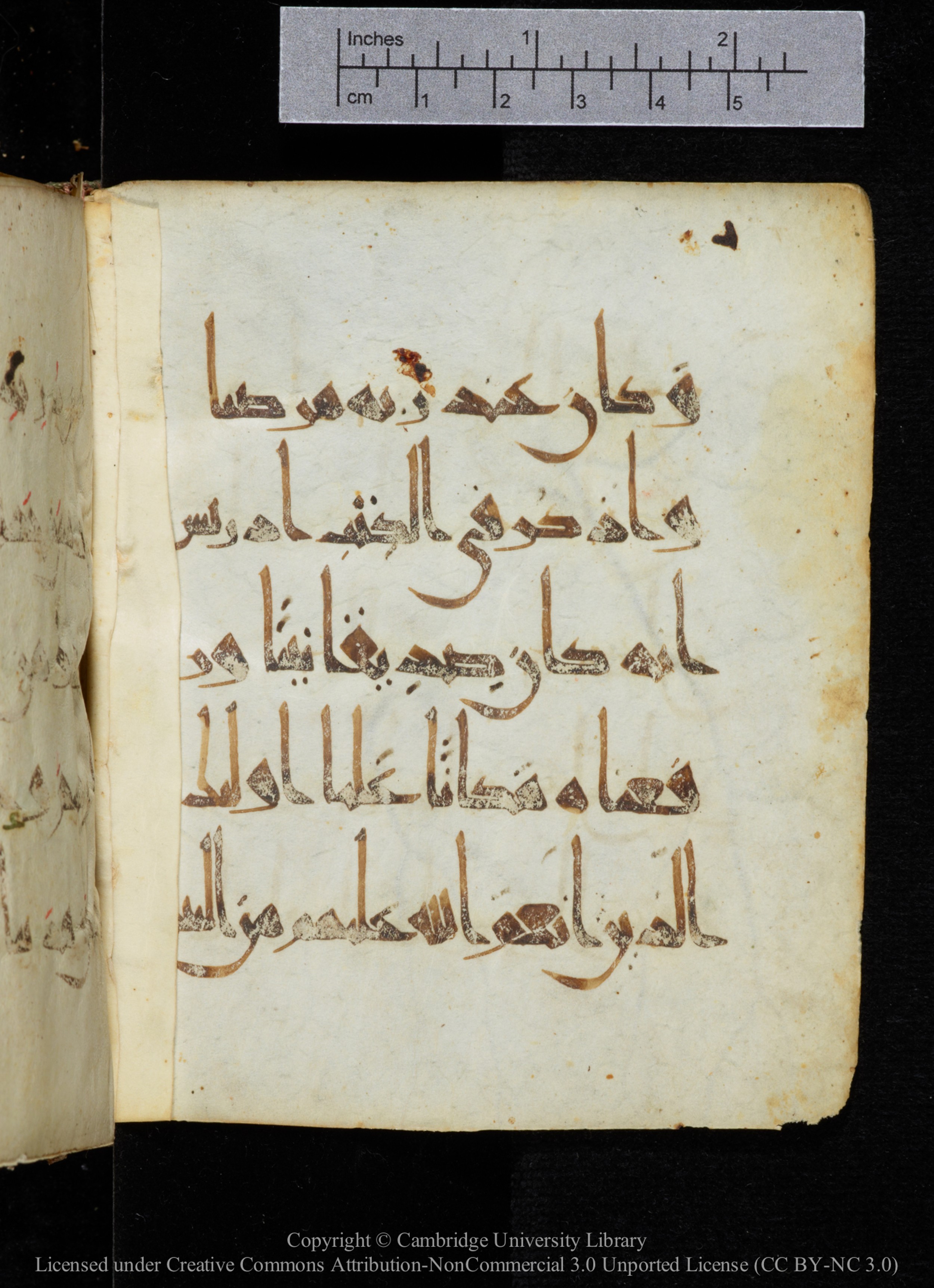 Cambridge, Cambridge University Library, MS Add.2964, in New Style I script, showing Surah 19:56 from 10th to 11th Century AD found in Unknown, currently housed at Cambridge University Library, Cambridge