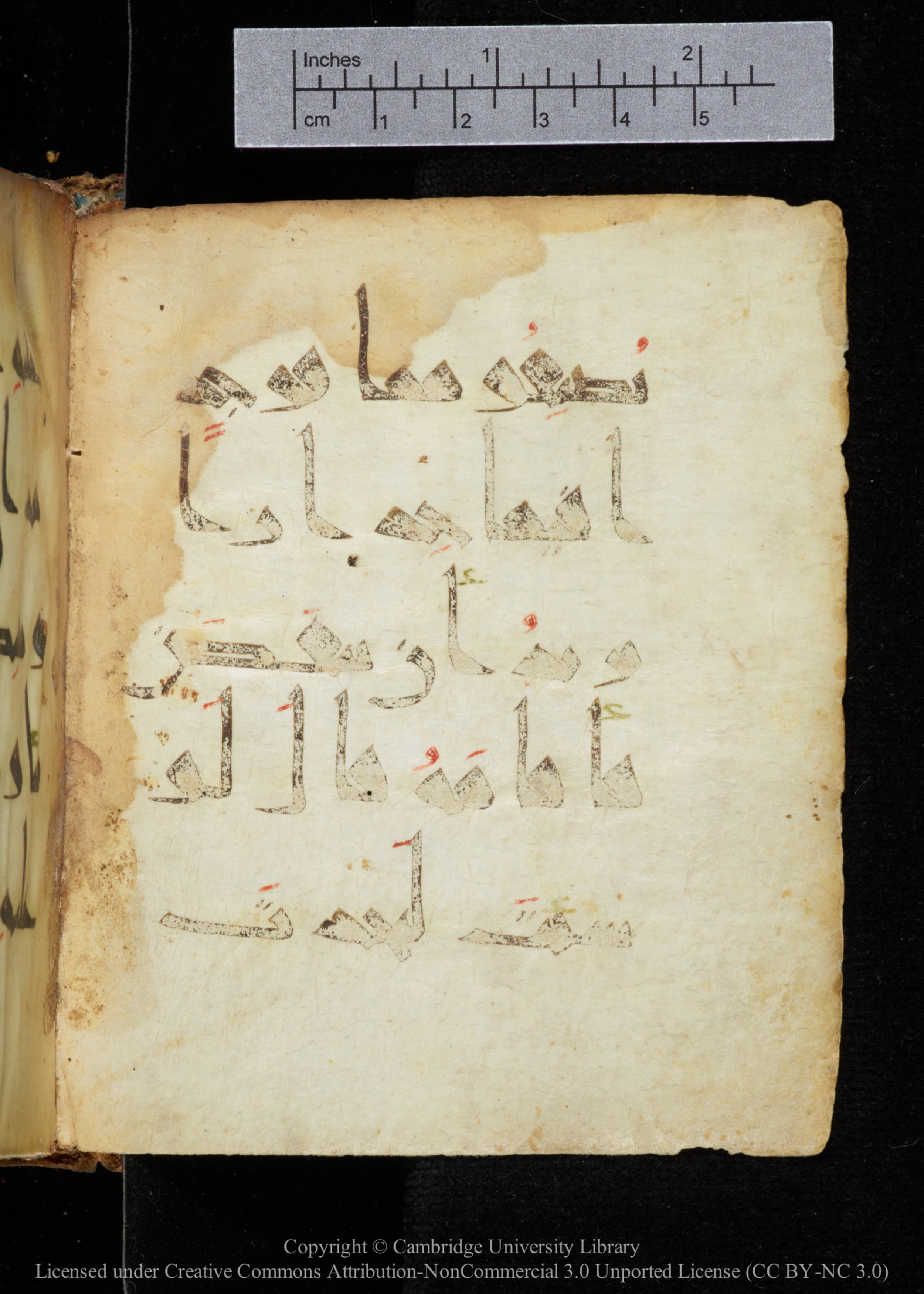 Cambridge, Cambridge University Library, MS Add.2964 (Scan 2), in New Style I script, showing Surah 18:77 from 10th to 11th Century AD found in Unknown, currently housed at Cambridge University Library, Cambridge