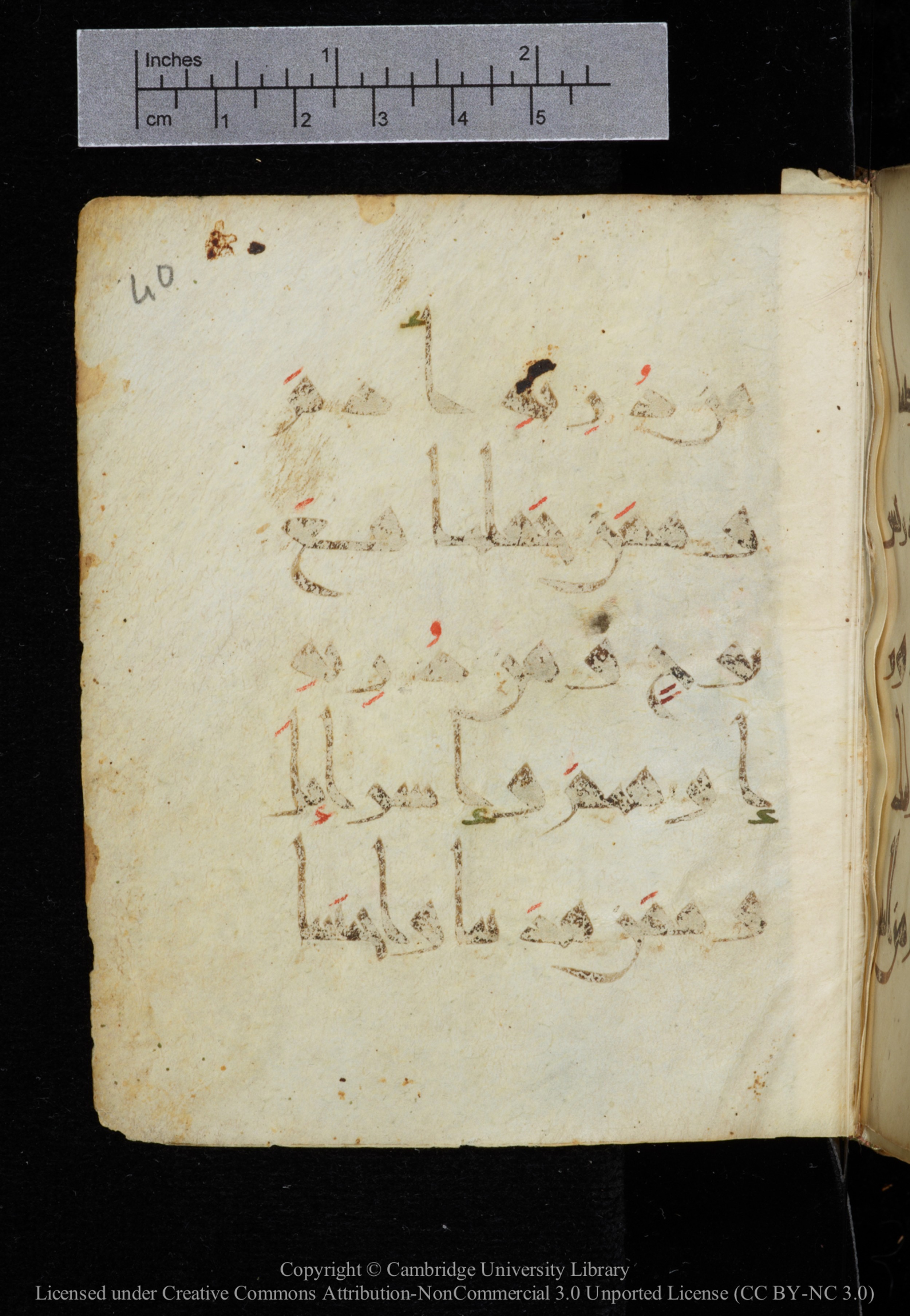 Cambridge, Cambridge University Library, MS Add.2964 (Scan 2), in New Style I script, showing Surah 19:58 from 10th to 11th Century AD found in Unknown, currently housed at Cambridge University Library, Cambridge