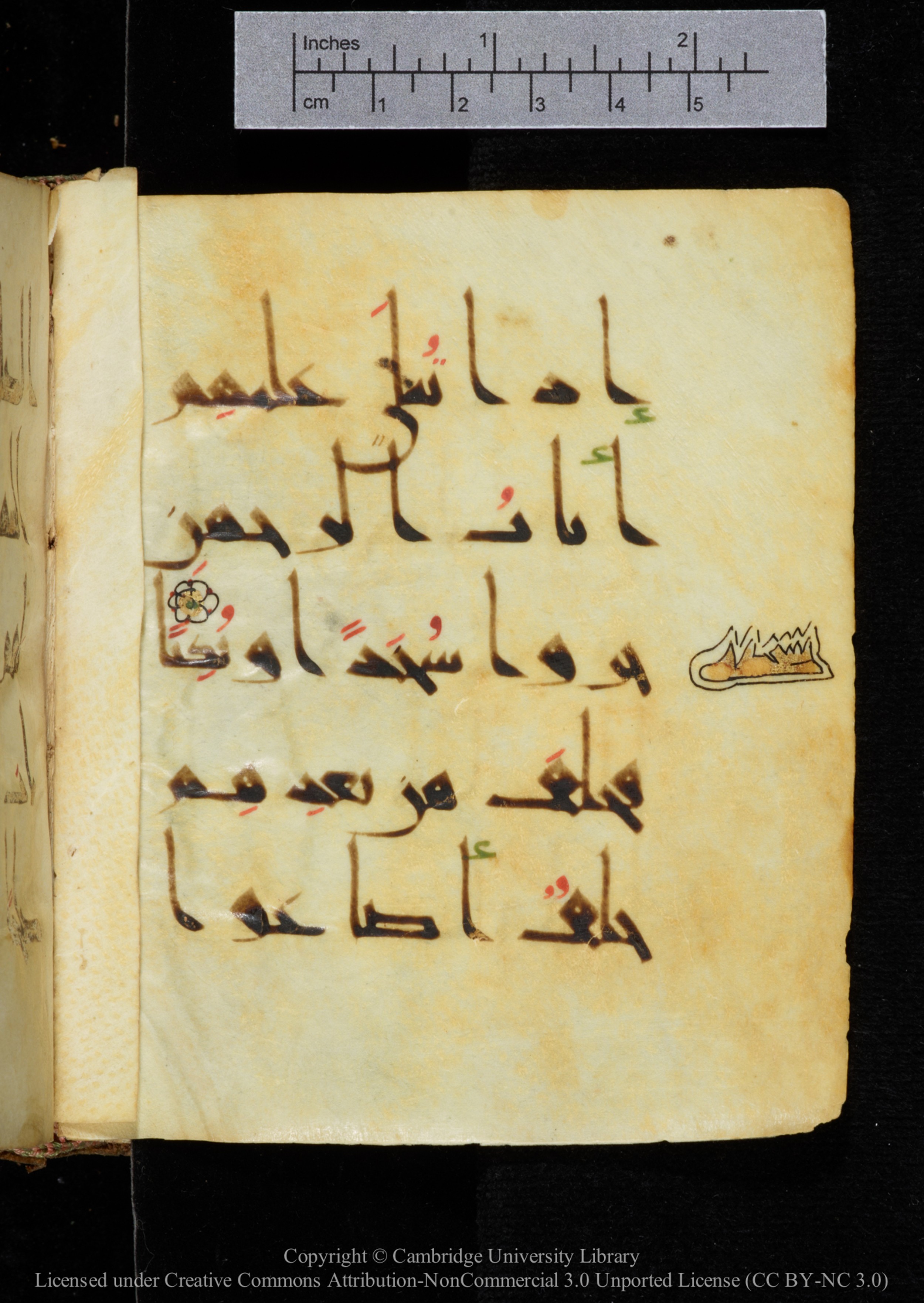 Cambridge, Cambridge University Library, MS Add.2964 (Scan 1), in New Style I script, showing Surah 19:59 from 10th to 11th Century AD found in Unknown, currently housed at Cambridge University Library, Cambridge