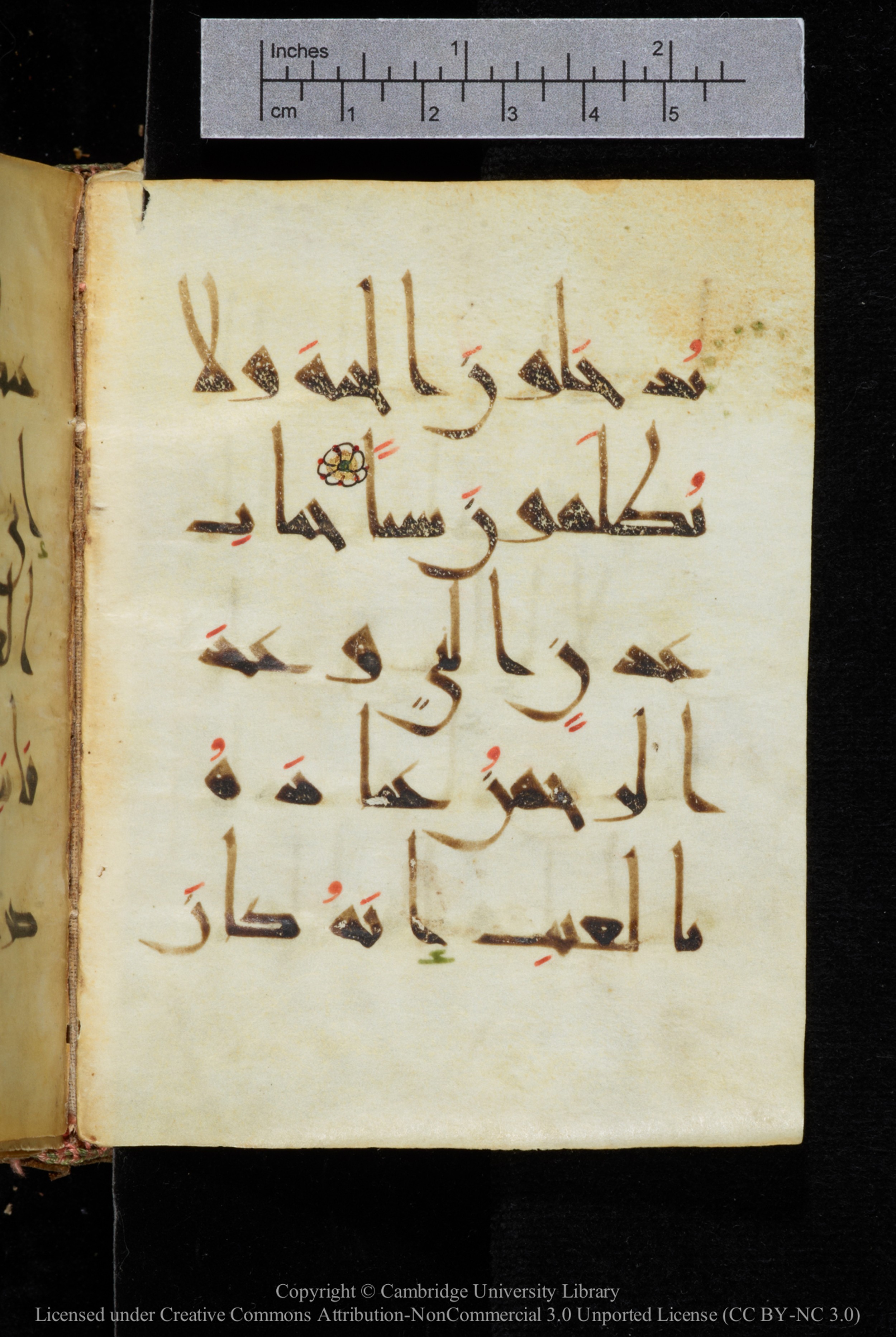 Cambridge, Cambridge University Library, MS Add.2964 (Scan 2), in New Style I script, showing Surah 19:60 from 10th to 11th Century AD found in Unknown, currently housed at Cambridge University Library, Cambridge