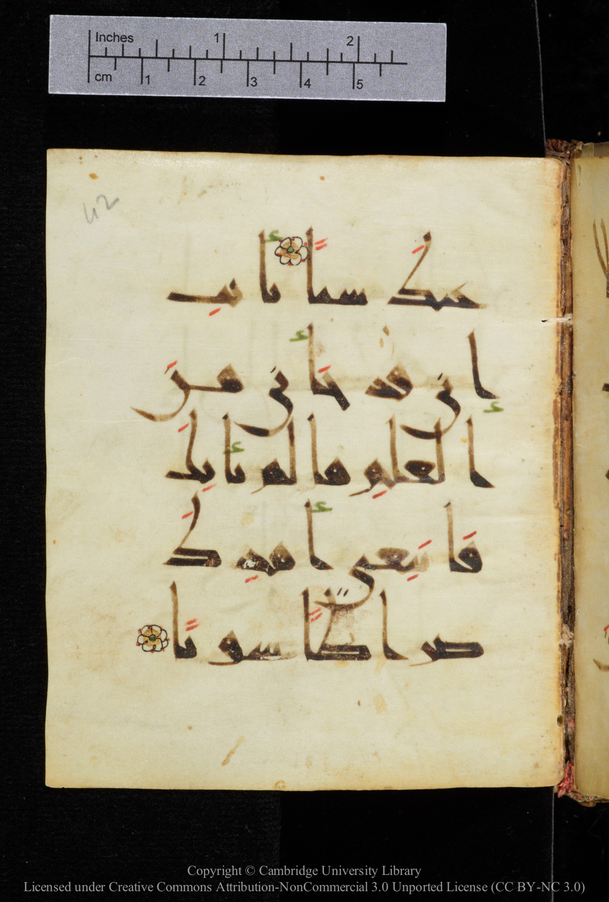 Cambridge, Cambridge University Library, MS Add.2964, in New Style I script, showing Surah 19:43 from 10th to 11th Century AD found in Unknown, currently housed at Cambridge University Library, Cambridge