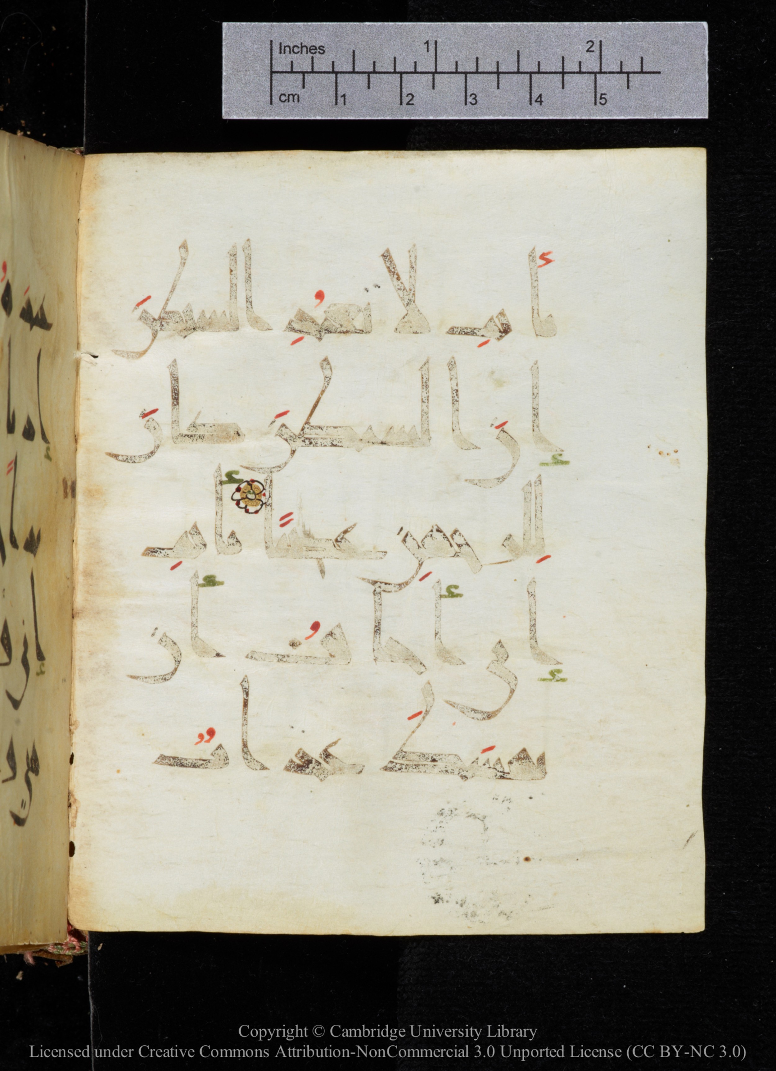 Cambridge, Cambridge University Library, MS Add.2964 (Scan 2), in New Style I script, showing Surah 19:45 from 10th to 11th Century AD found in Unknown, currently housed at Cambridge University Library, Cambridge