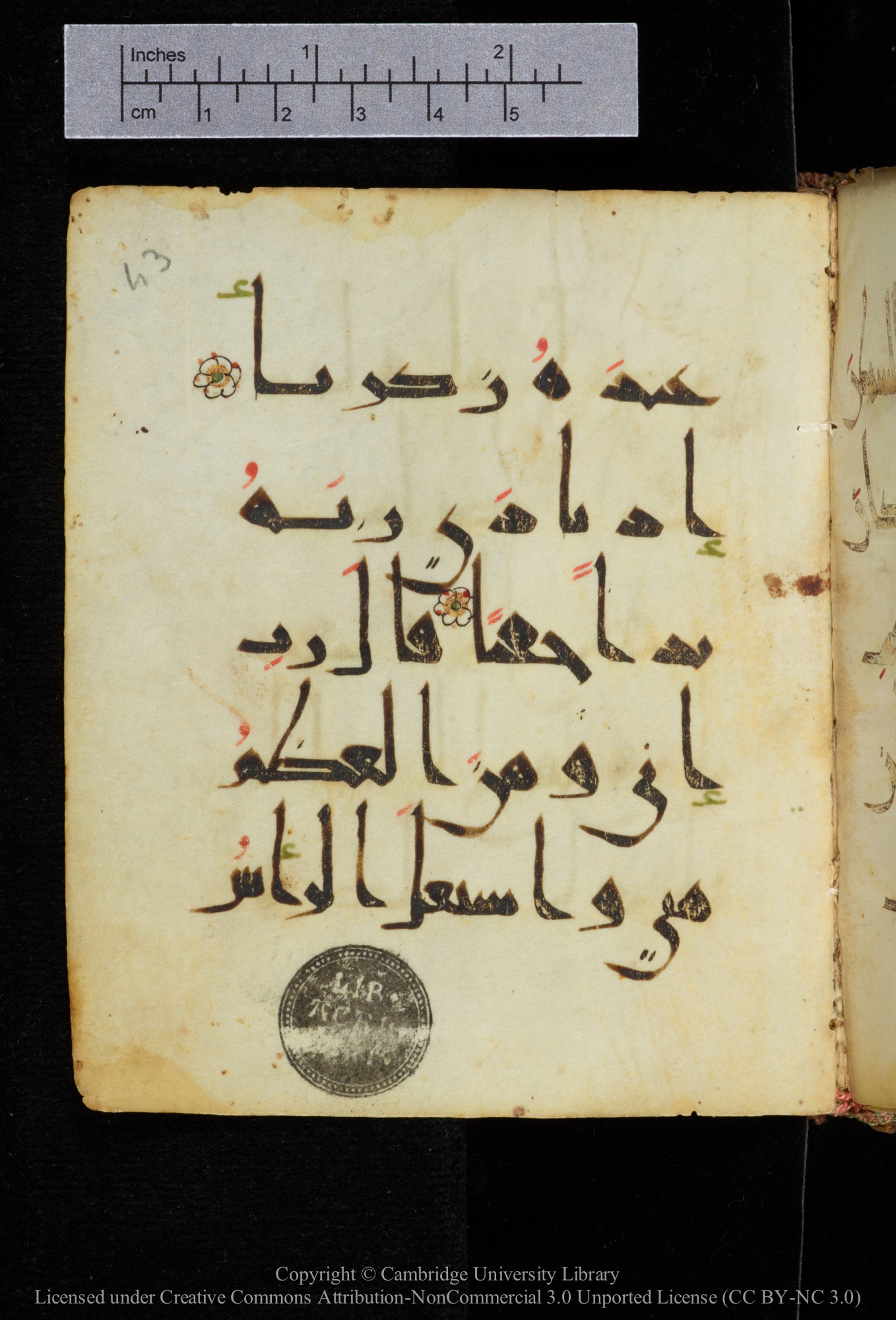 Cambridge, Cambridge University Library, MS Add.2964 (Scan 2), in New Style I script, showing Surah 19:2 from 10th to 11th Century AD found in Unknown, currently housed at Cambridge University Library, Cambridge