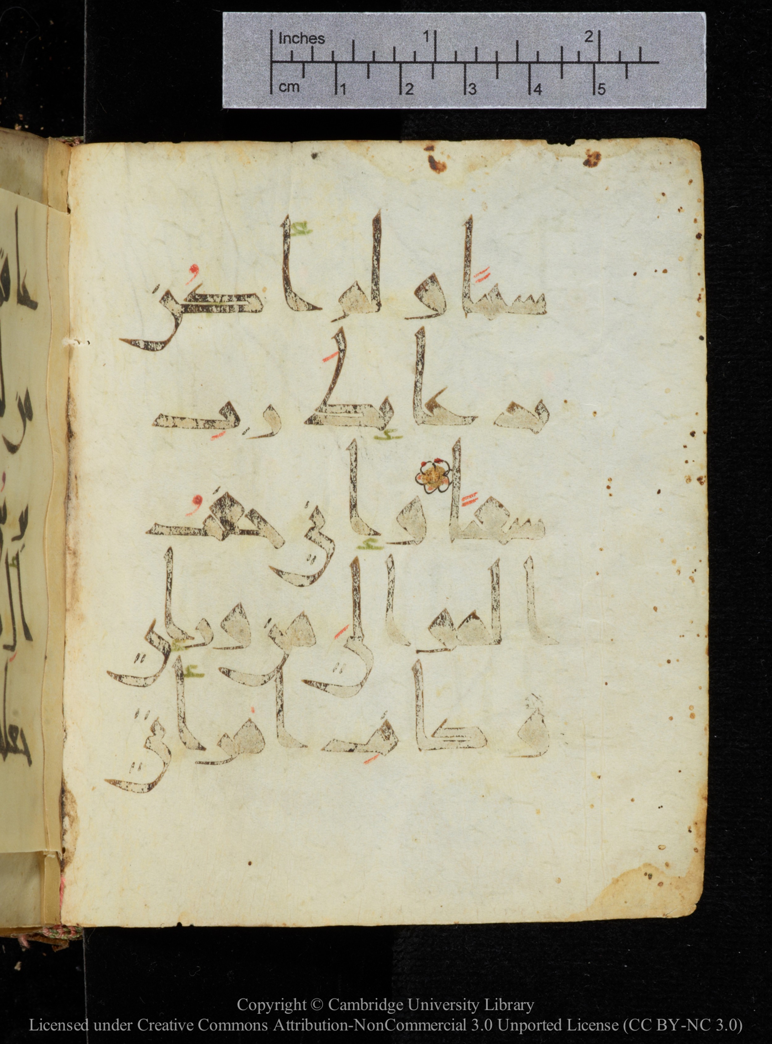 Cambridge, Cambridge University Library, MS Add.2964 (Scan 2), in New Style I script, showing Surah 19:4 from 10th to 11th Century AD found in Unknown, currently housed at Cambridge University Library, Cambridge
