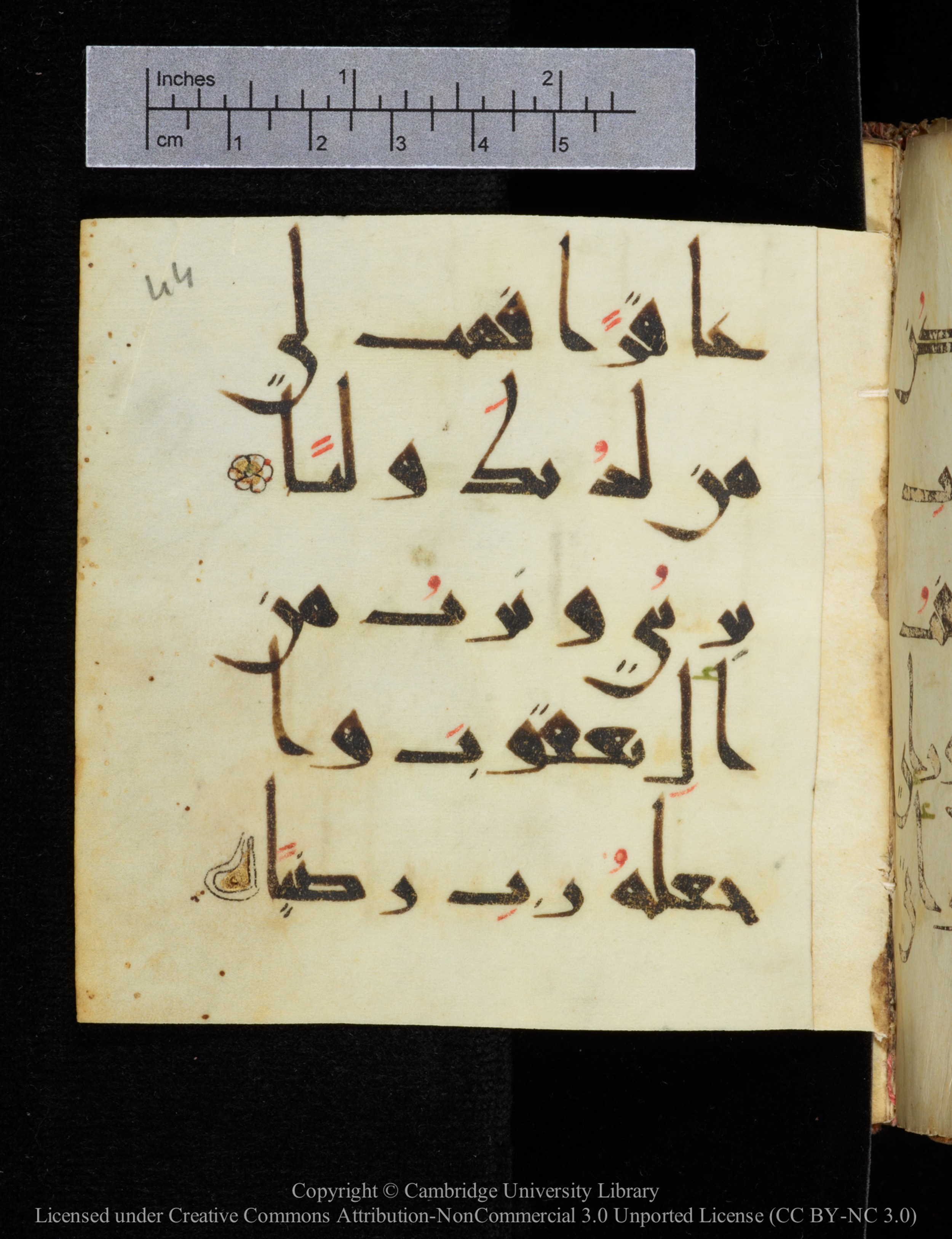 Cambridge, Cambridge University Library, MS Add.2964, in New Style I script, showing Surah 19:6 from 10th to 11th Century AD found in Unknown, currently housed at Cambridge University Library, Cambridge