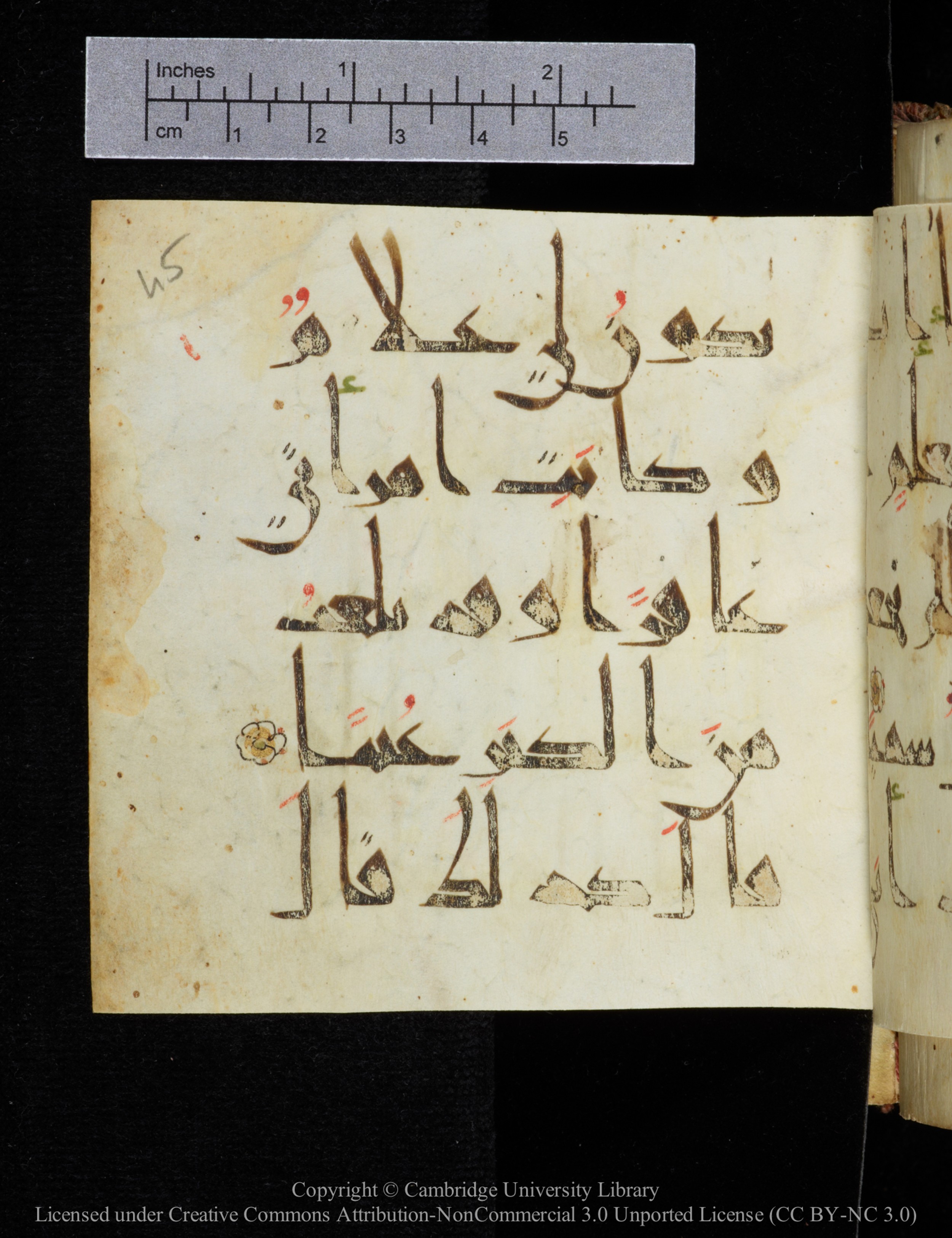 Cambridge, Cambridge University Library, MS Add.2964 (Scan 2), in New Style I script, showing Surah 19:8 from 10th to 11th Century AD found in Unknown, currently housed at Cambridge University Library, Cambridge