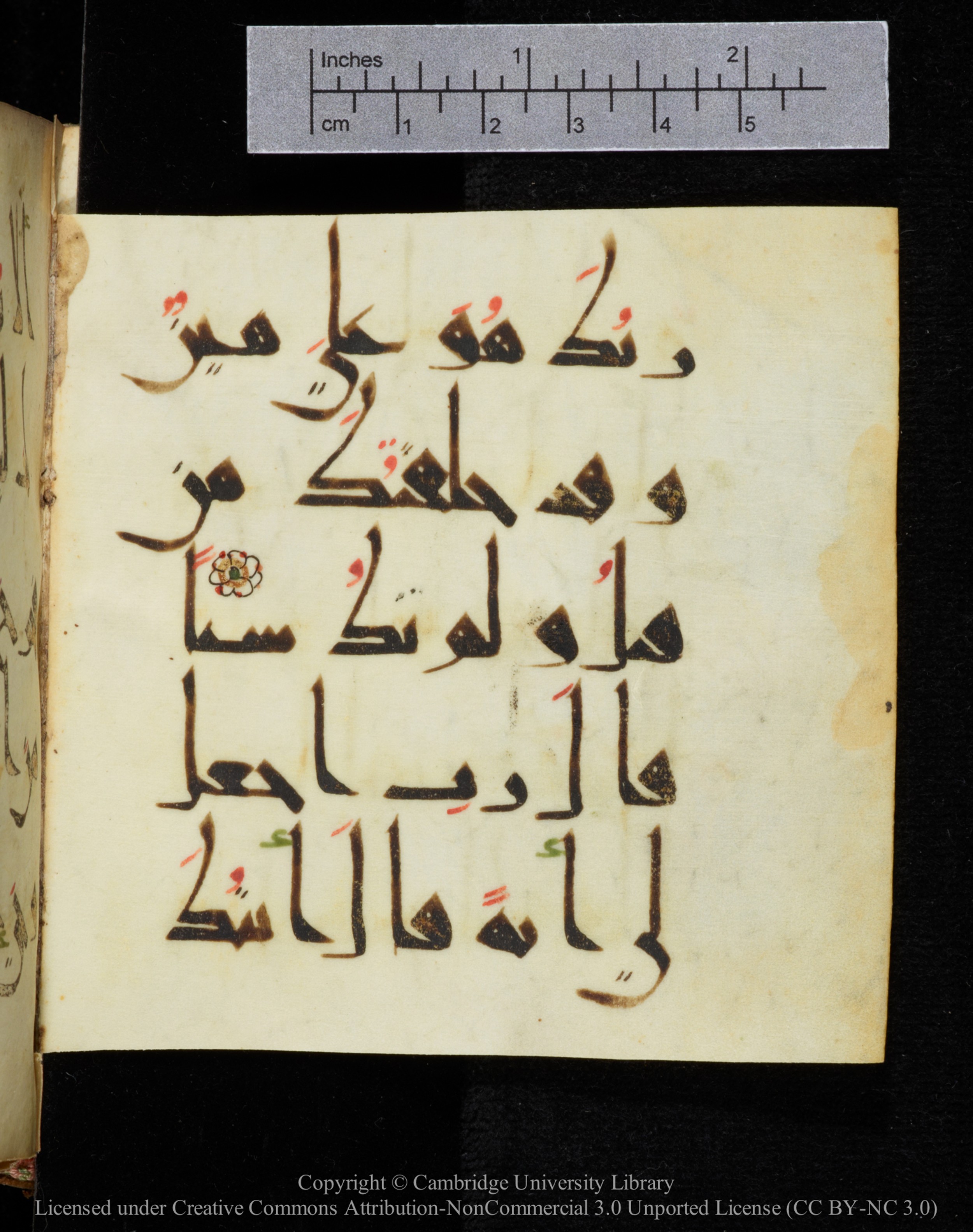 Cambridge, Cambridge University Library, MS Add.2964 (Scan 1), in New Style I script, showing Surah 19:10 from 10th to 11th Century AD found in Unknown, currently housed at Cambridge University Library, Cambridge