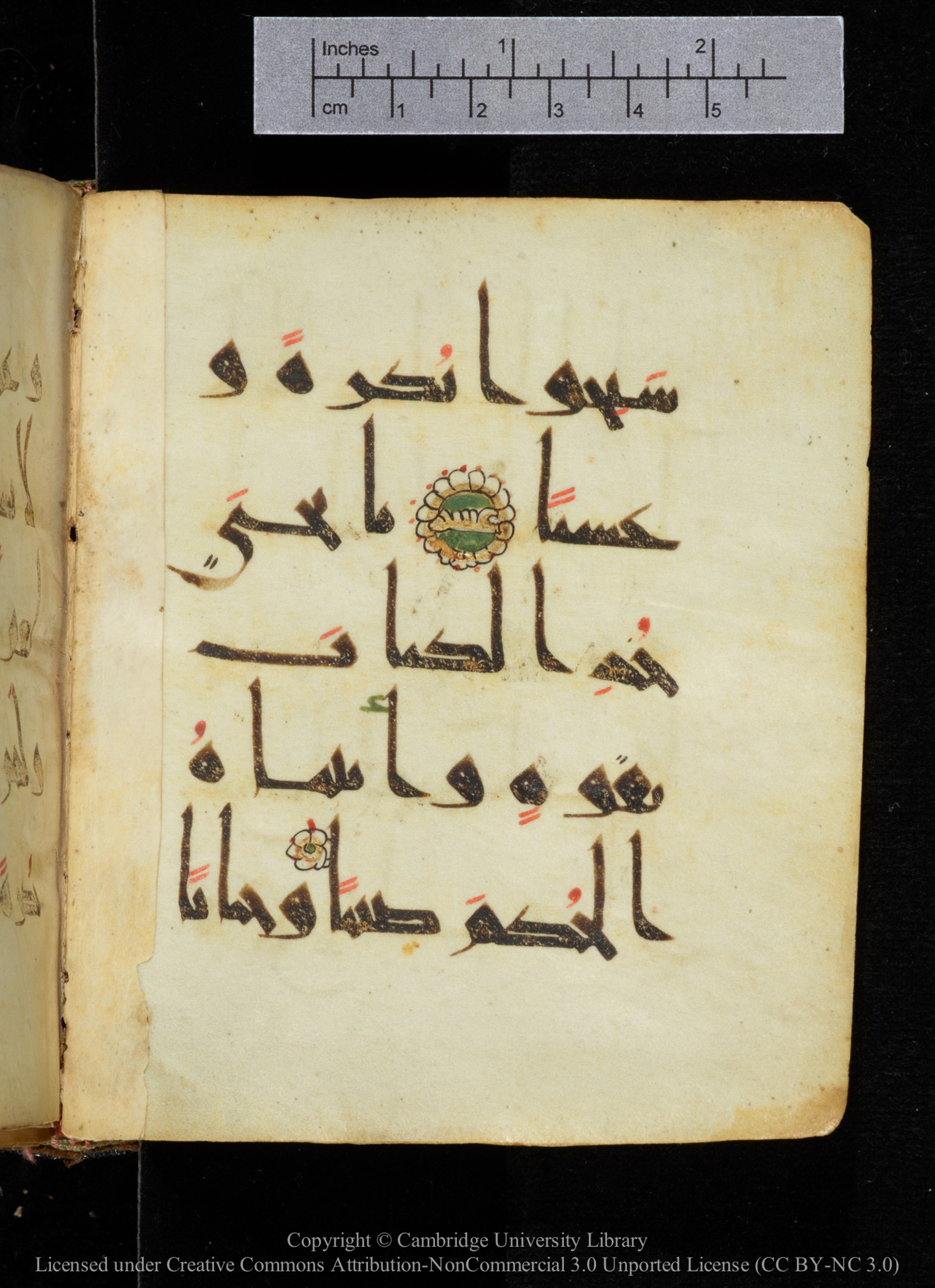 Cambridge, Cambridge University Library, MS Add.2964 (Scan 2), in New Style I script, showing Surah 19:13 from 10th to 11th Century AD found in Unknown, currently housed at Cambridge University Library, Cambridge
