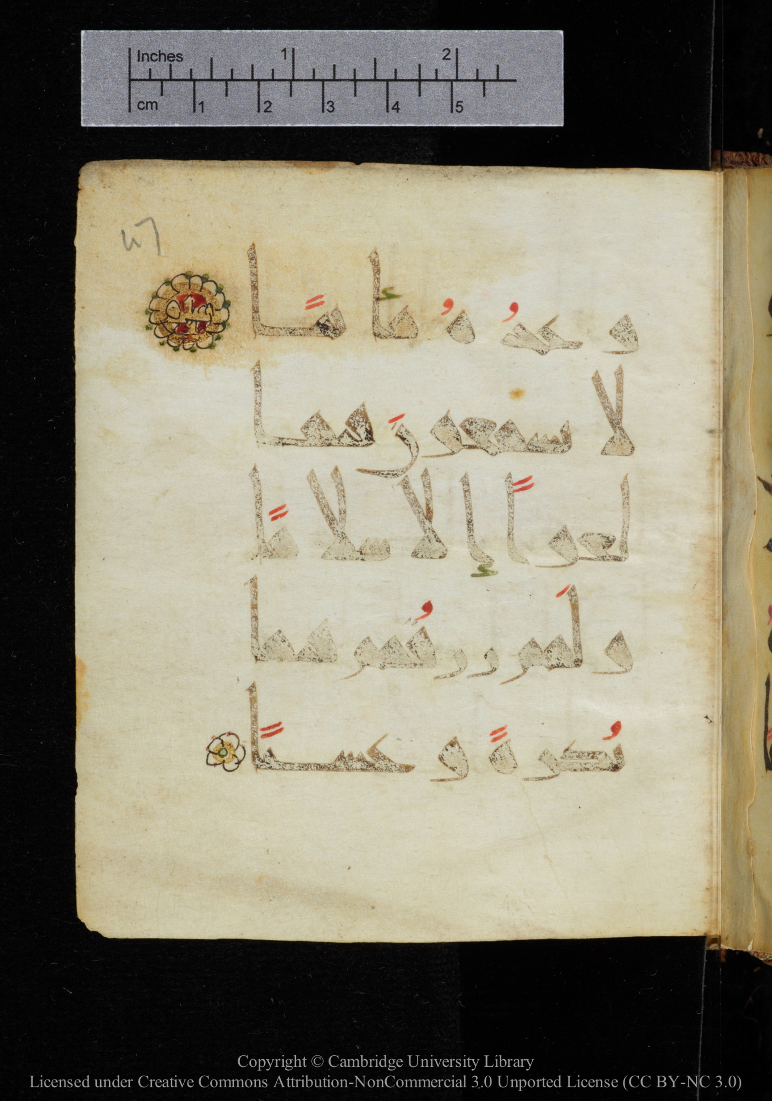 Cambridge, Cambridge University Library, MS Add.2964 (Scan 2), in New Style I script, showing Surah 19:61 from 10th to 11th Century AD found in Unknown, currently housed at Cambridge University Library, Cambridge